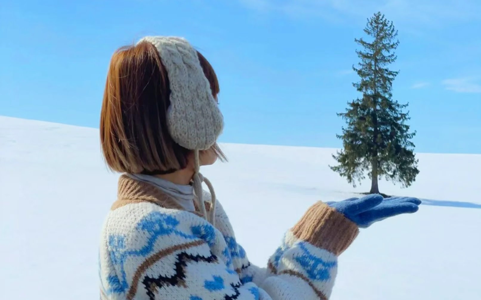 One-day trip to Hokkaido | Asahiyama Zoo & Internet celebrity Christmas tree & Biei Green Pond & Shirasu Falls (departing from Sapporo)