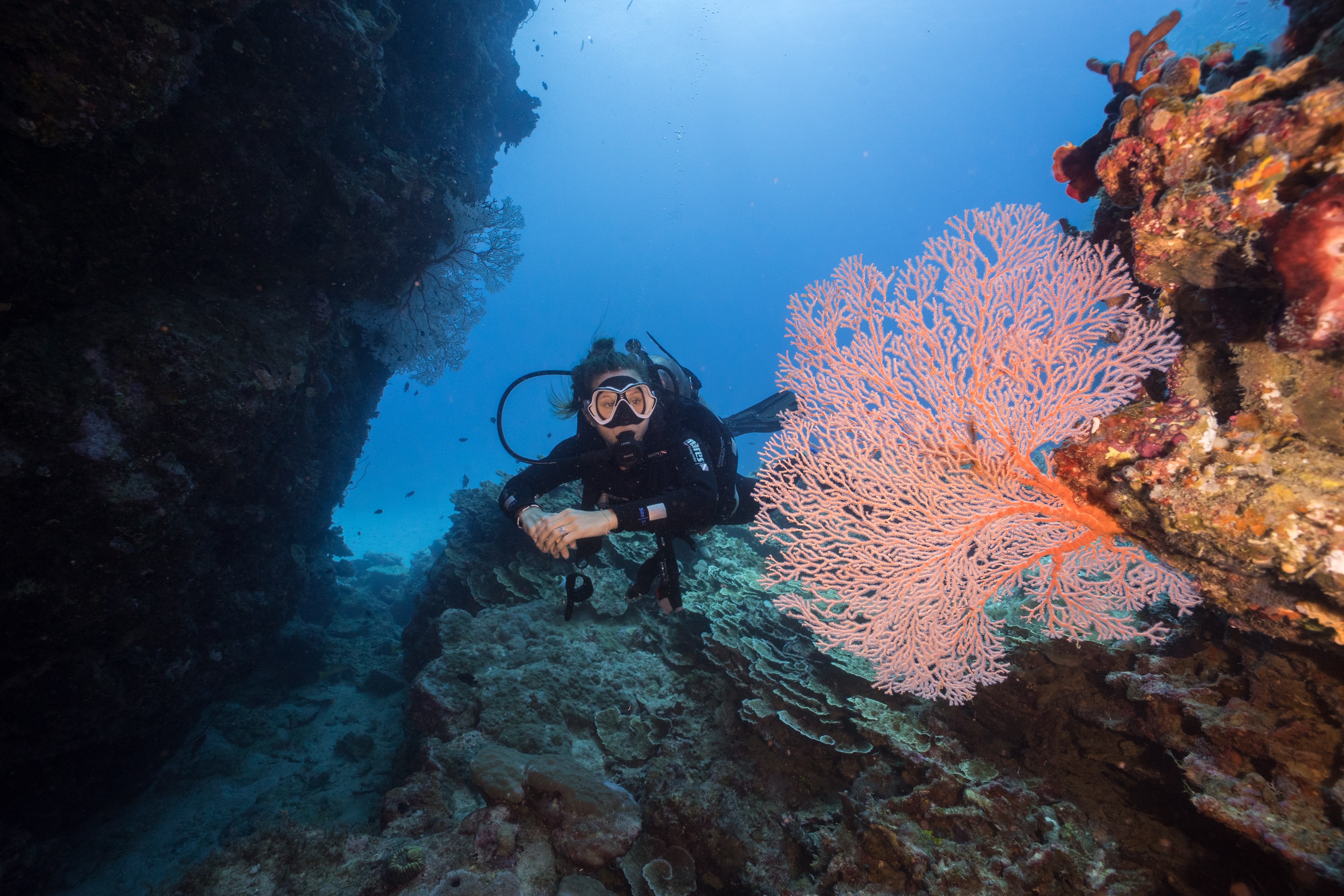 凱恩斯大堡礁潛水 & 浮潛 & 遊船體驗