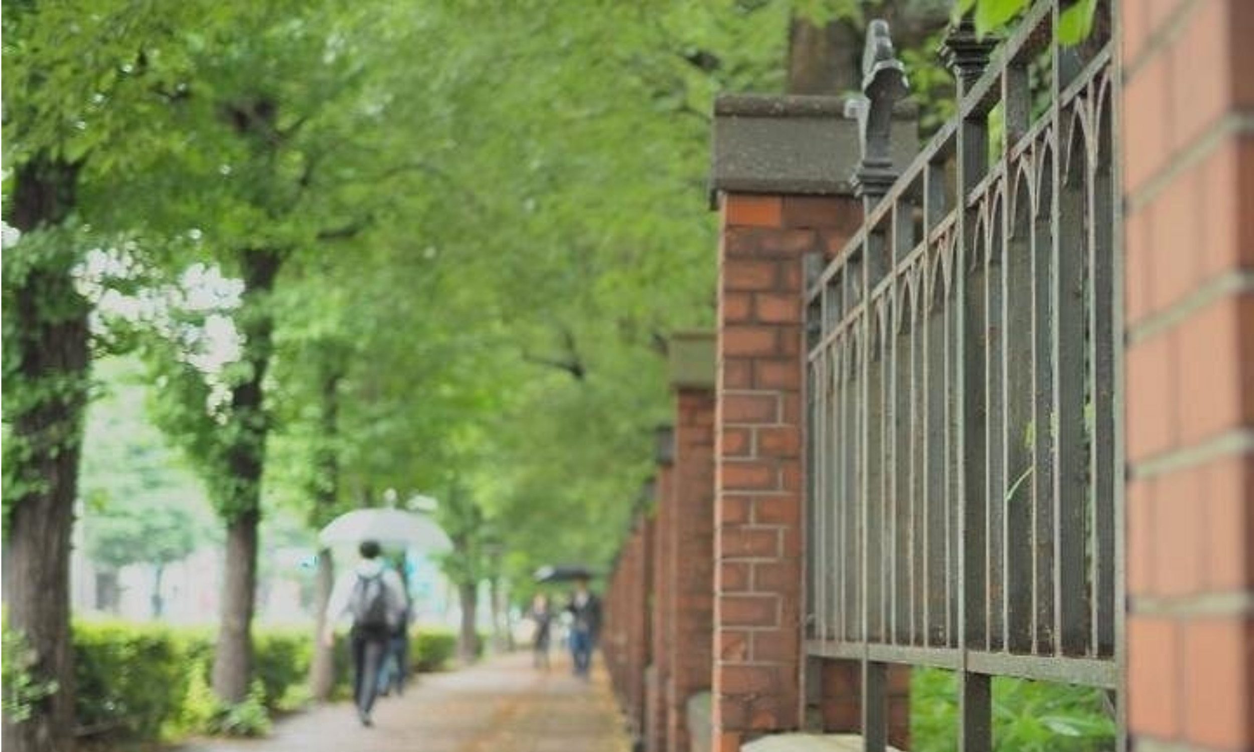 Tokyo University Half-Day Immersive Campus Experience