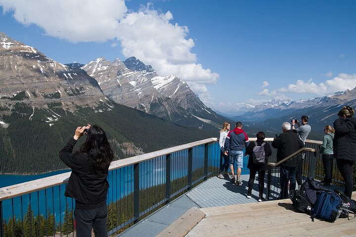 Gaze from elevated Bow Summit onto fox-shaped vibrant turquoise lake below