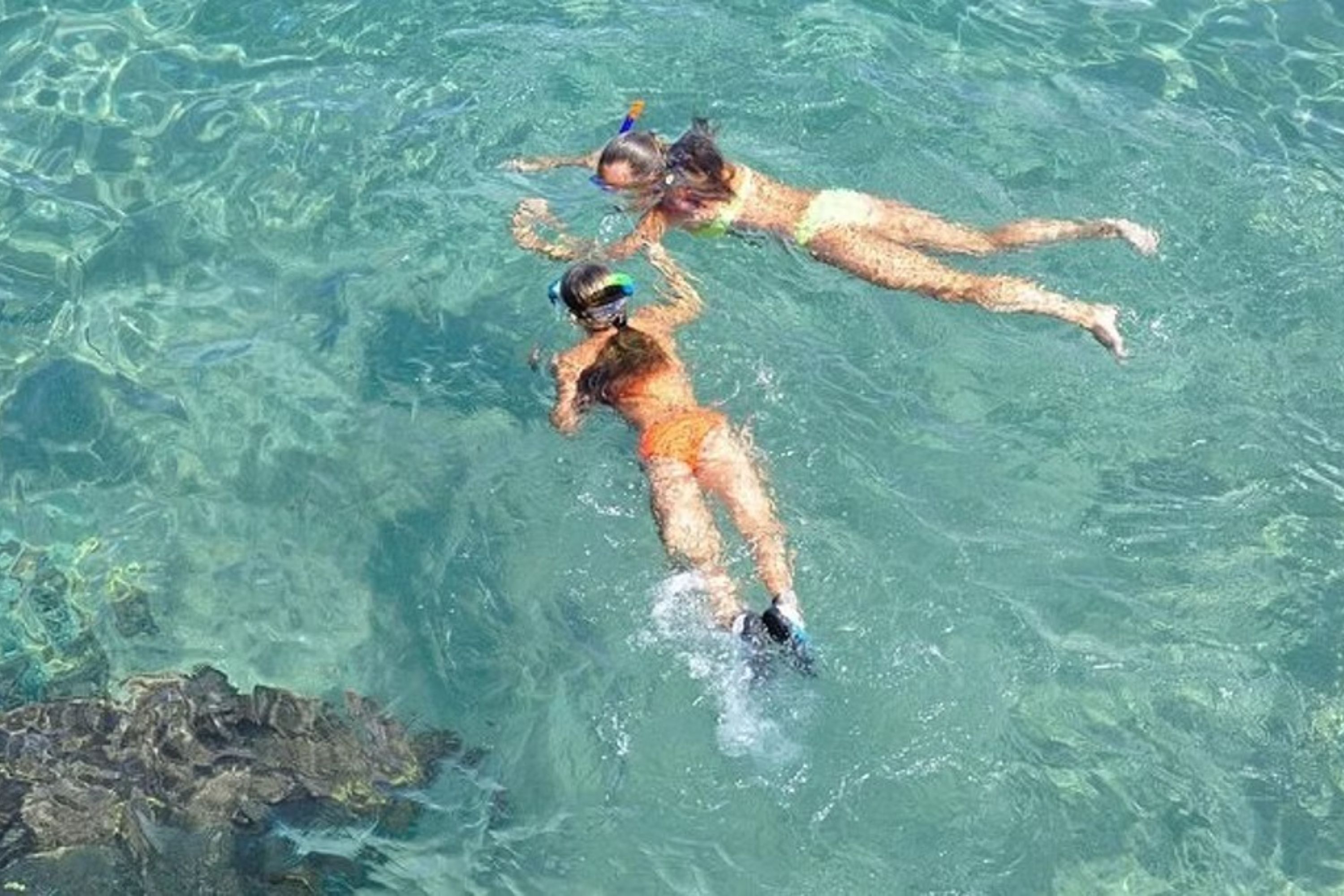 Snorkel Adventure and Sandbar Trip Experience in Islamorada