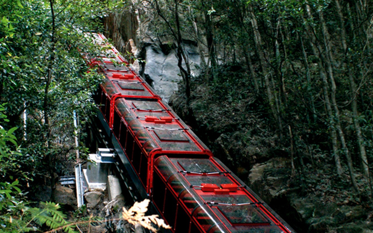 穿越茂密森林，展開一場令人振奮的野性之美探索之旅。
