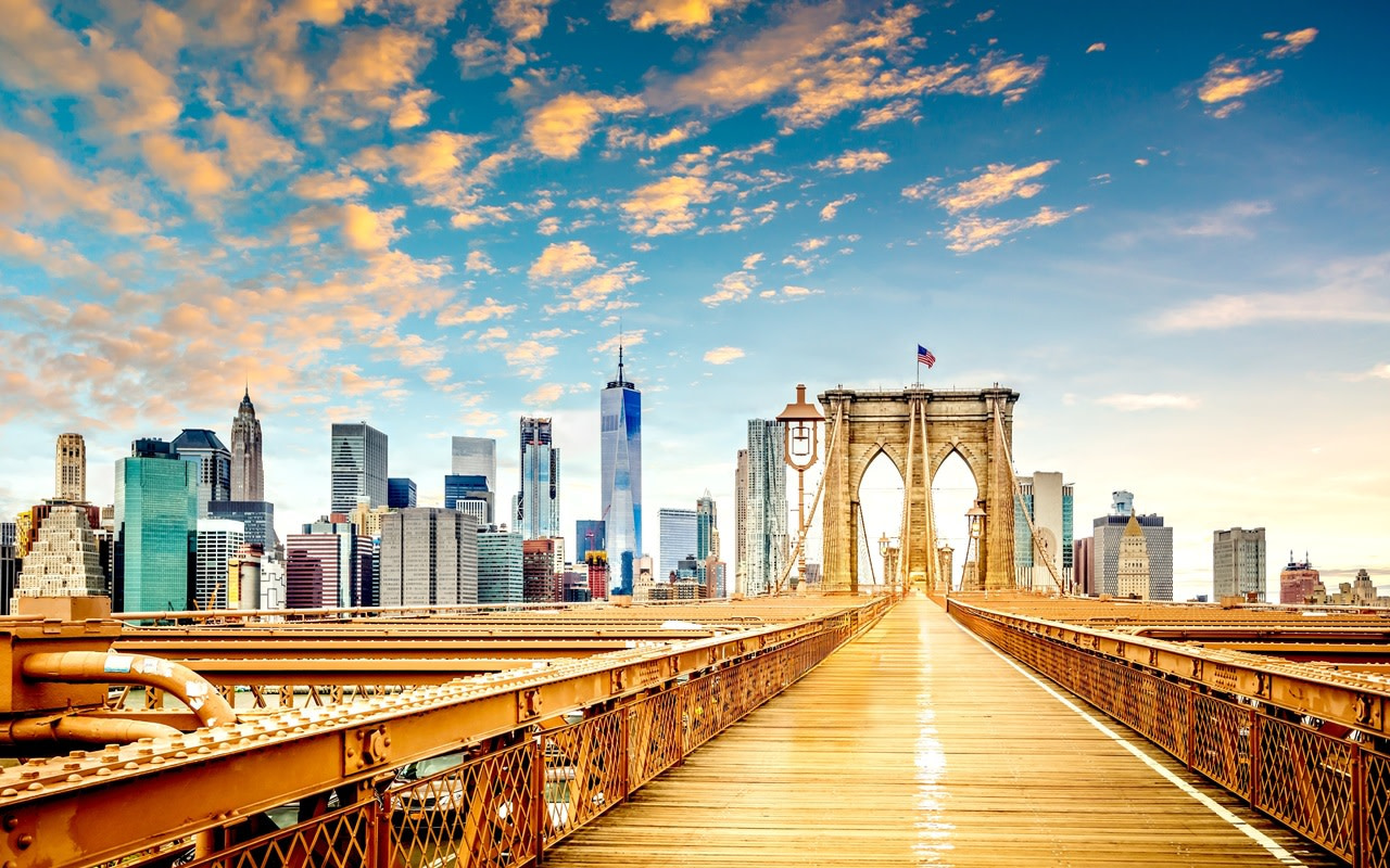 Manhattan and Brooklyn private half-day sightseeing trip in New York