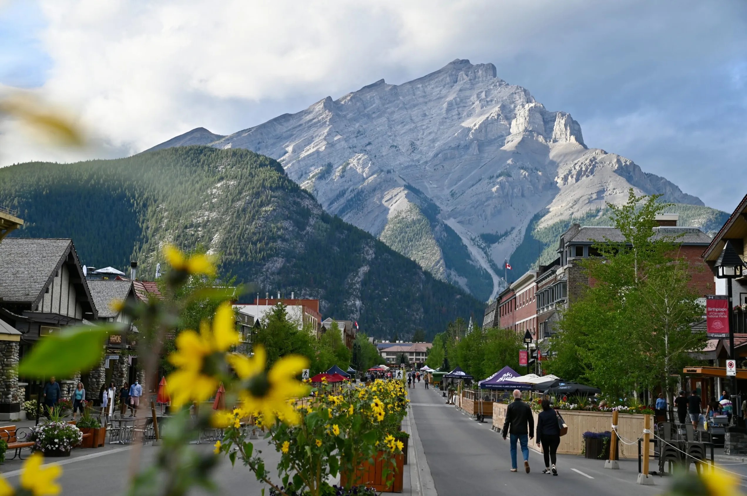 班夫鎮精彩景點和野生動物之旅 (Banff Highlights and Wildlife Tour)