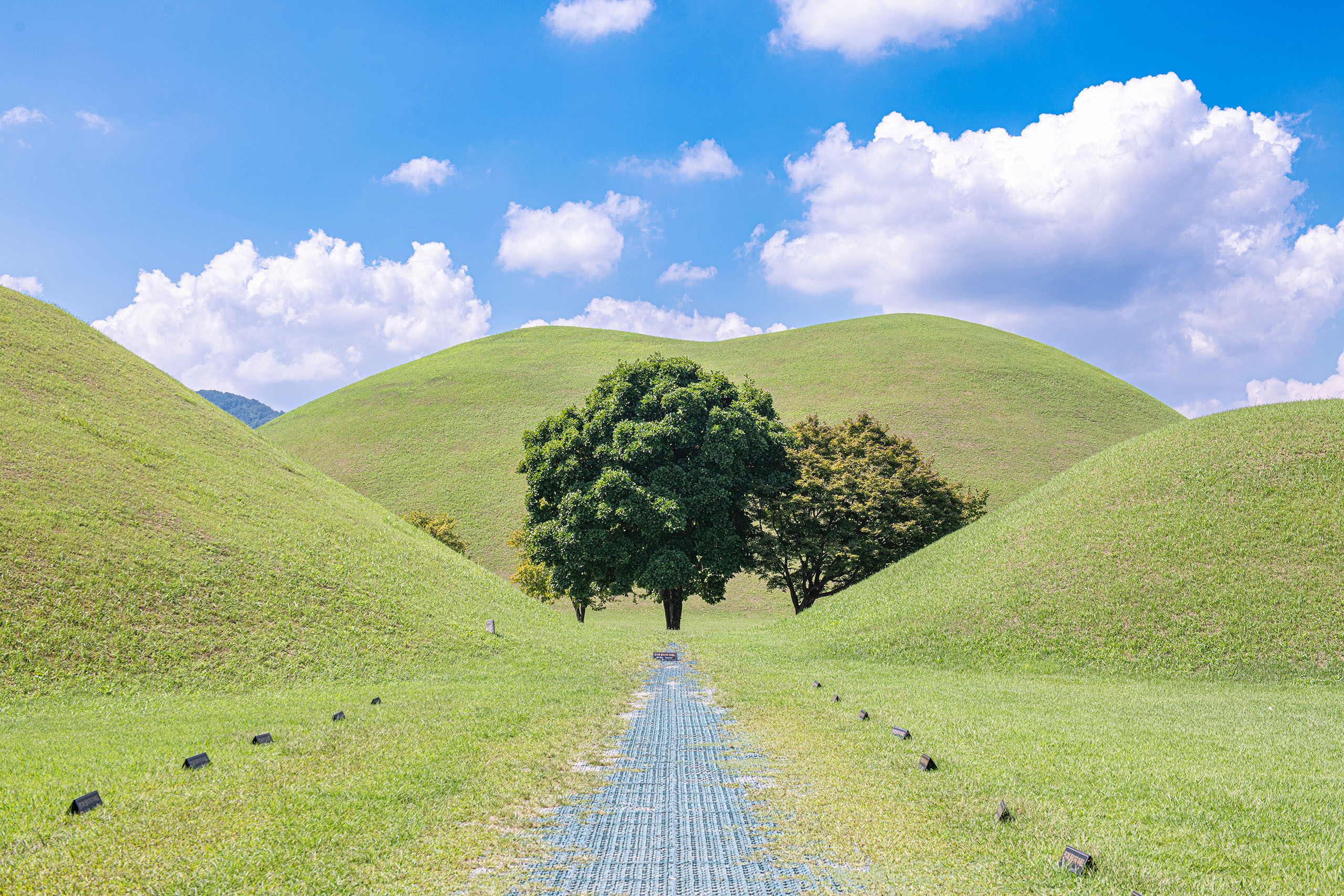 在大陵苑的歷史古墓群中，捕捉完美的鏡頭。