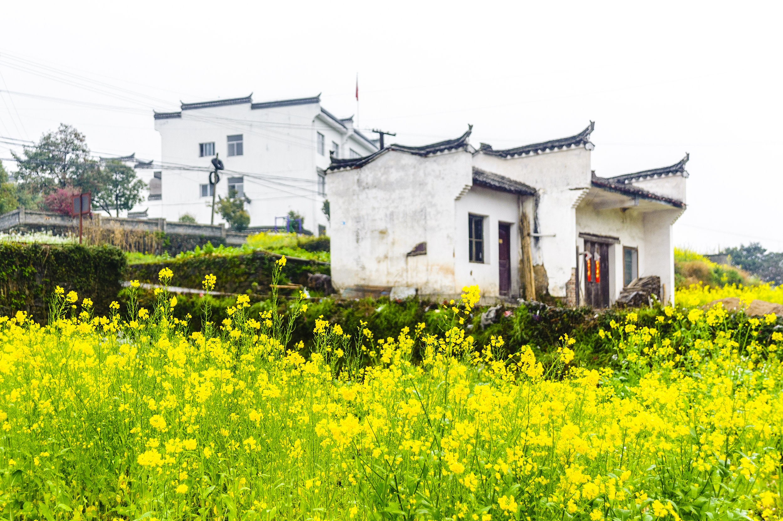 汪口村：宋建古村，俞氏宗祠木雕絕，雙河環繞顯徽韻