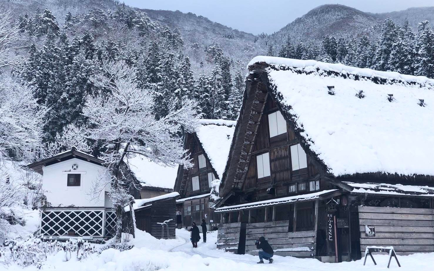 Shirakawago & Hida Takayama One Day Bus Tour from Nagoya