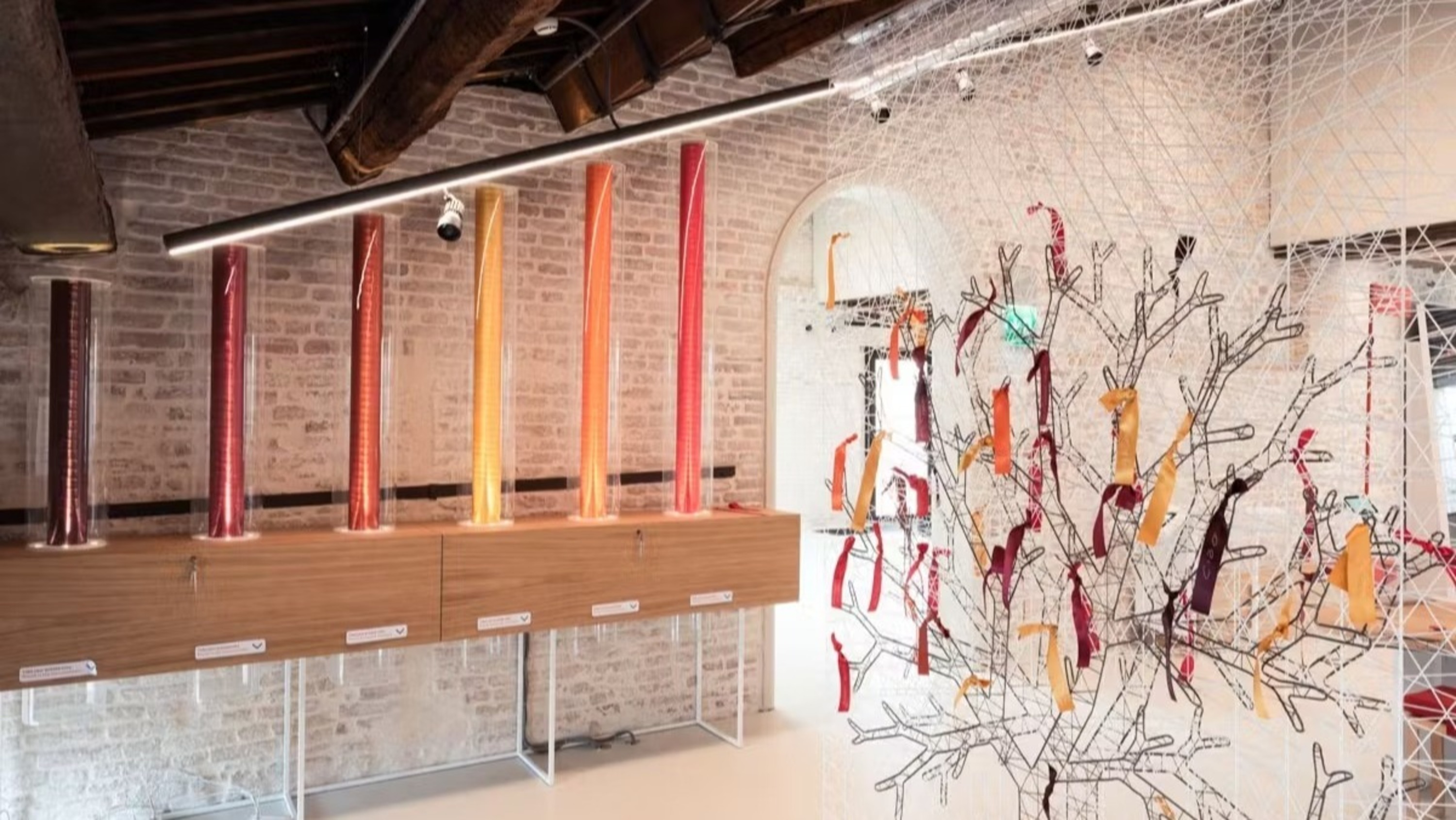 潛力無限展覽（A World of Potential exhibition）在人類安全網絡之家（Human Safety Net House）