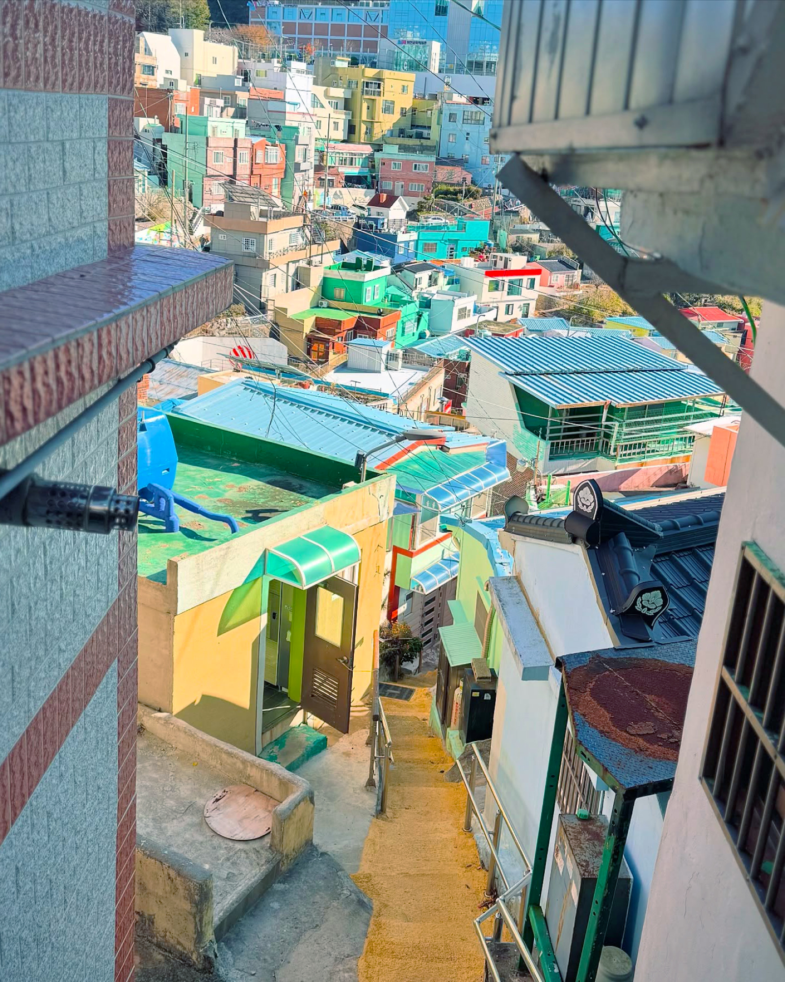 Taejongdae Hydrangea / Songdo Cable Car / Gamcheon / Gwangalli Tour