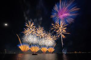 【水戶偕樂園花火大會1日限定夢幻之旅】那珂湊海鮮市場, 大洗磯前神社, 偕樂園花火大會｜東京出發