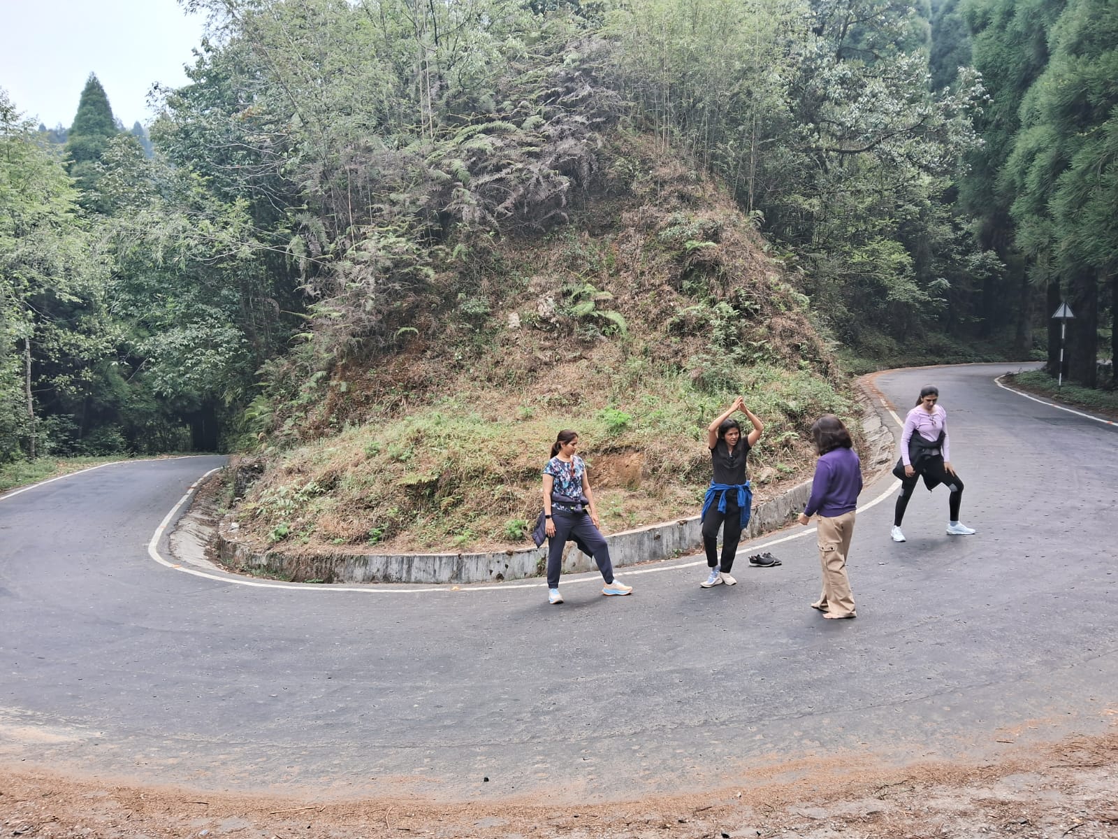 探索動植物：在西姆拉野生動物保護區參加導覽徒步之旅