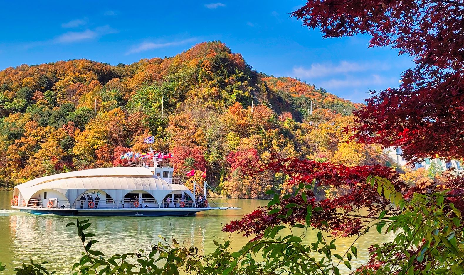 四季皆美——盡情欣賞春天百花盛開的繽紛、夏天生意盎然的翠綠、秋天如火似焰的楓紅，以及冬季白雪皚皚的夢幻仙境。