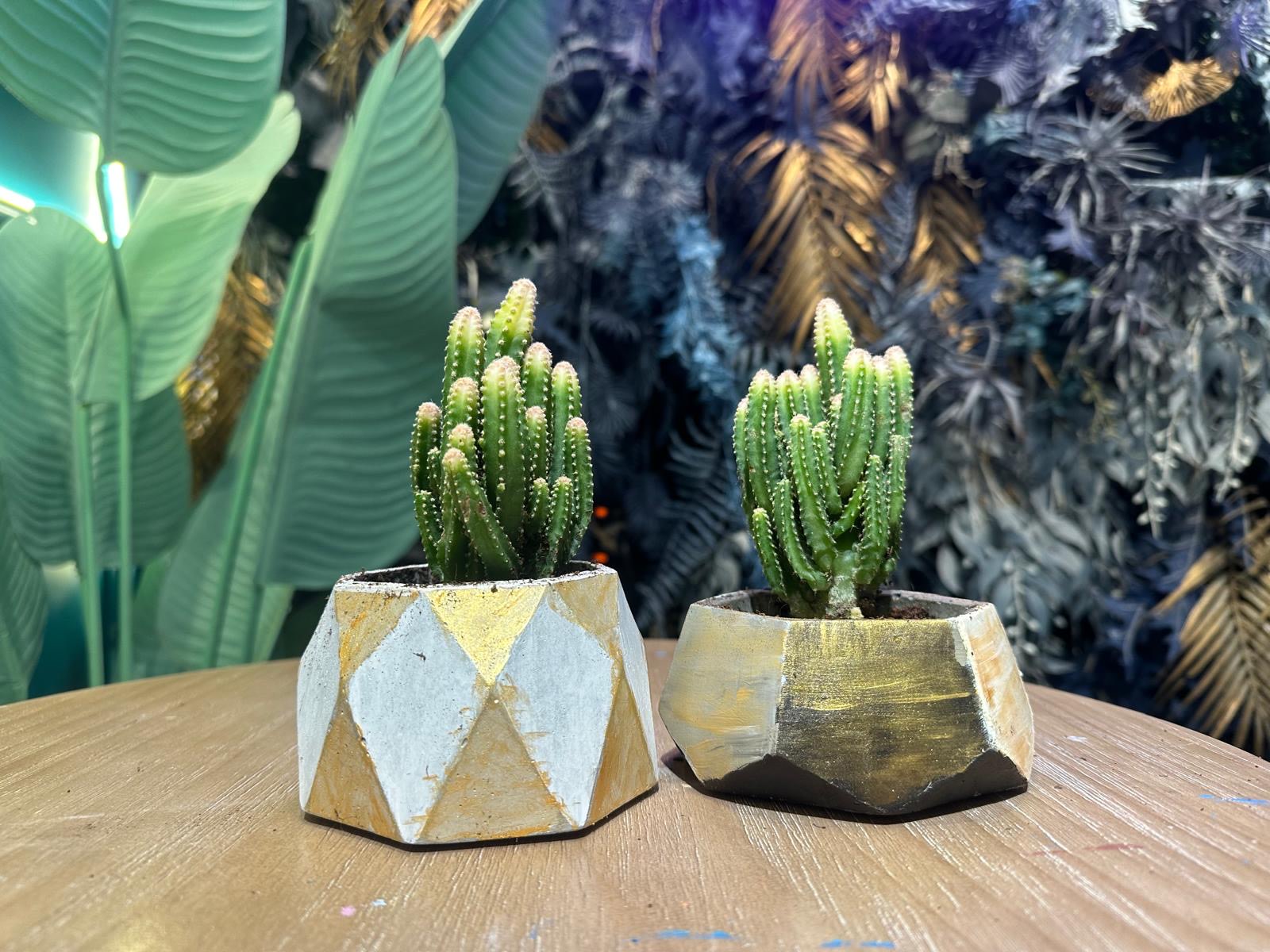 Cement Art Workshop in Hong Kong | Causeway Bay