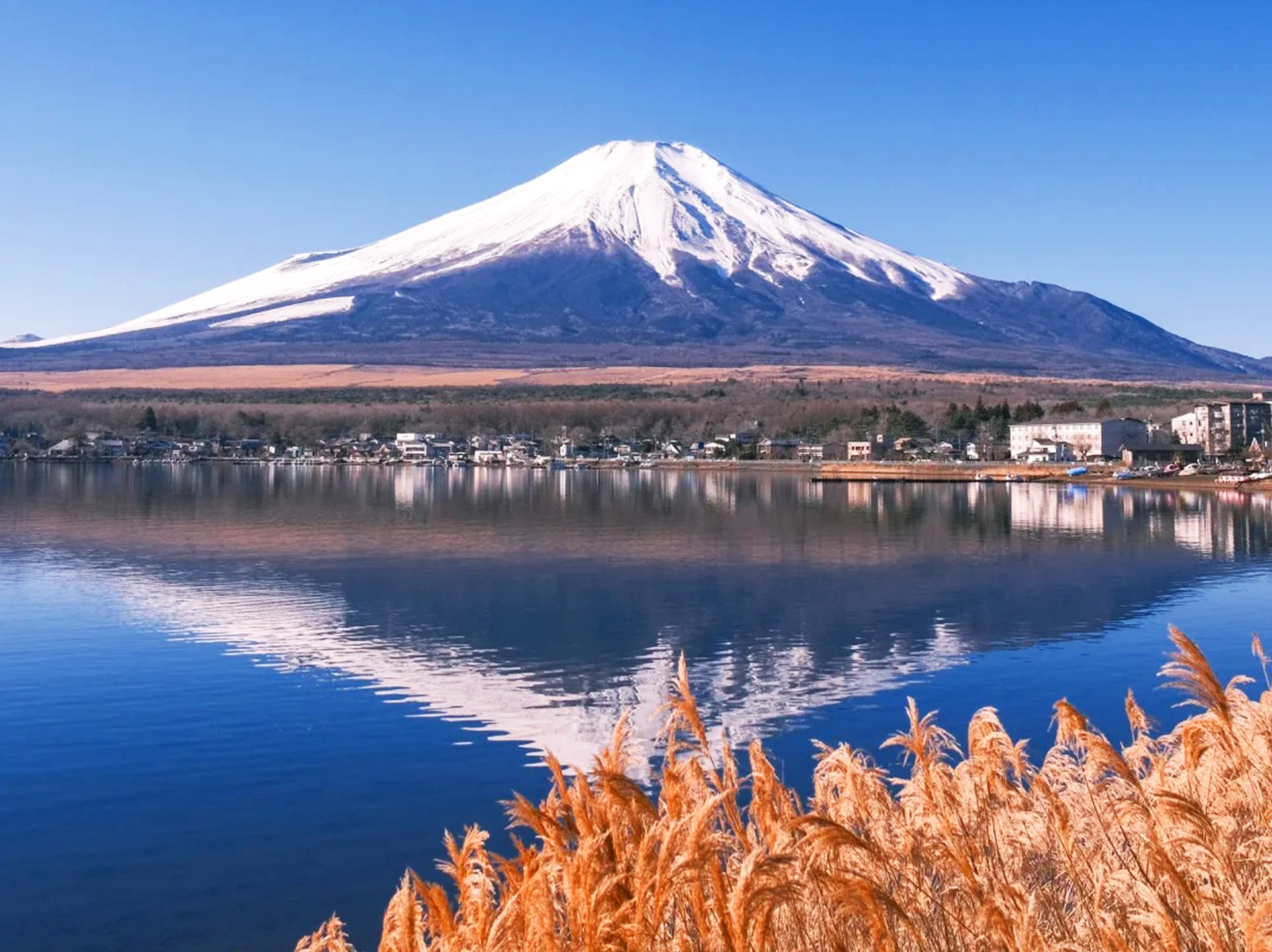 富士山山中湖單車騎行/遊船·忍野八海·河口湖大石公園/楓葉迴廊·新倉山淺間公園/天梯小鎮一日遊｜東京出發｜4~9人精品小團