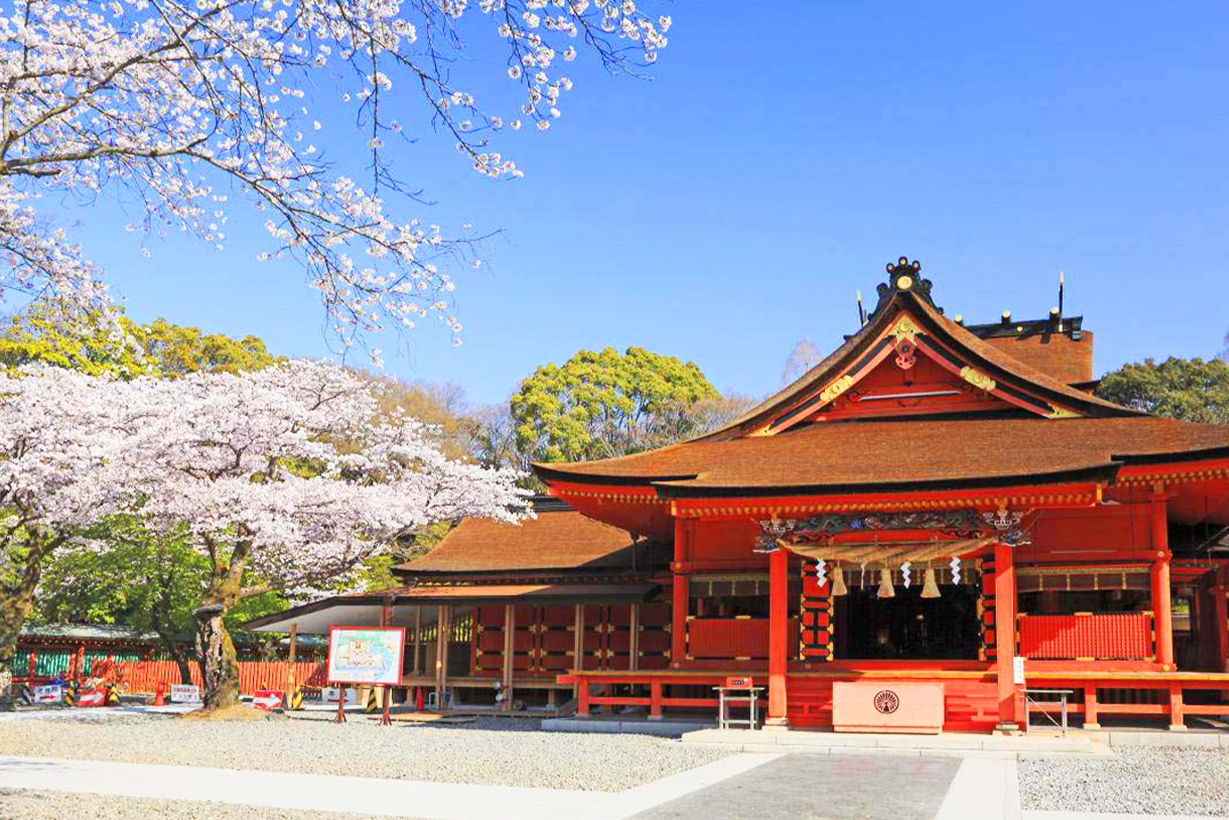 樱花季限定｜富士山本宫浅间大社＆龙岩渊＆岩本山公园一日游｜东京出发