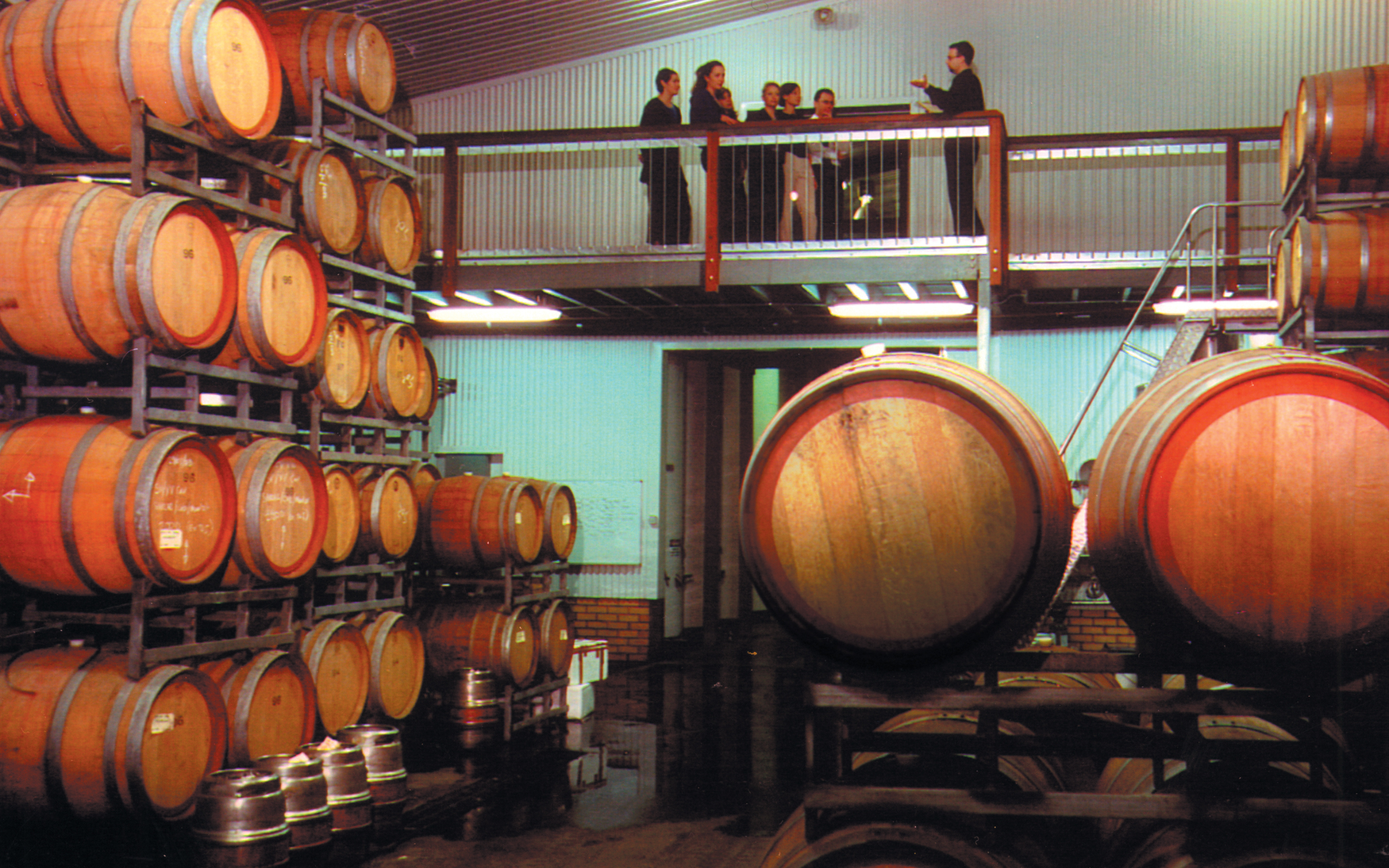 質樸的酒窖，兩側擺滿了酒桶和酒瓶