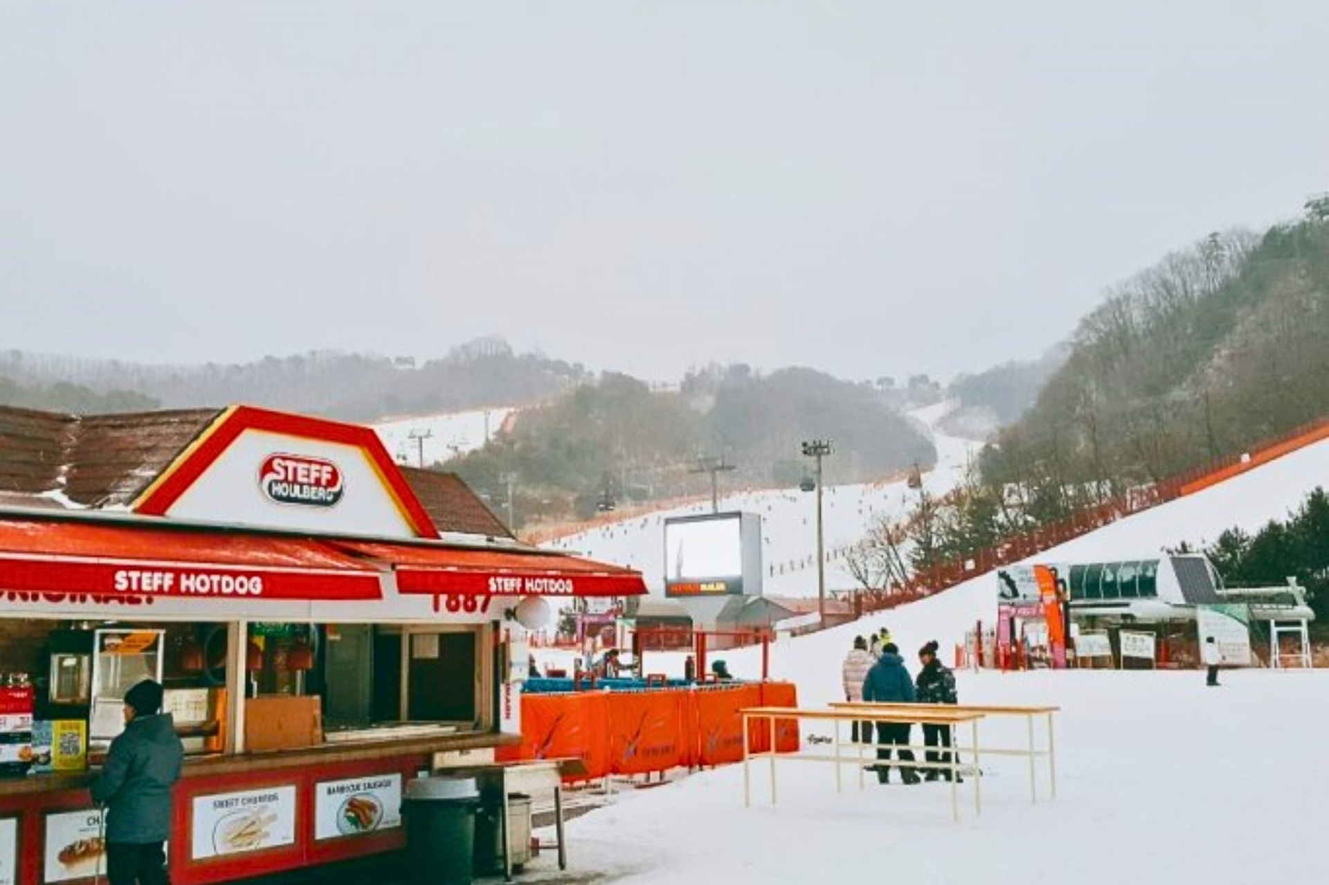 [Early Bird] Vivaldi Park Ski/Snowboard Trip from Seoul