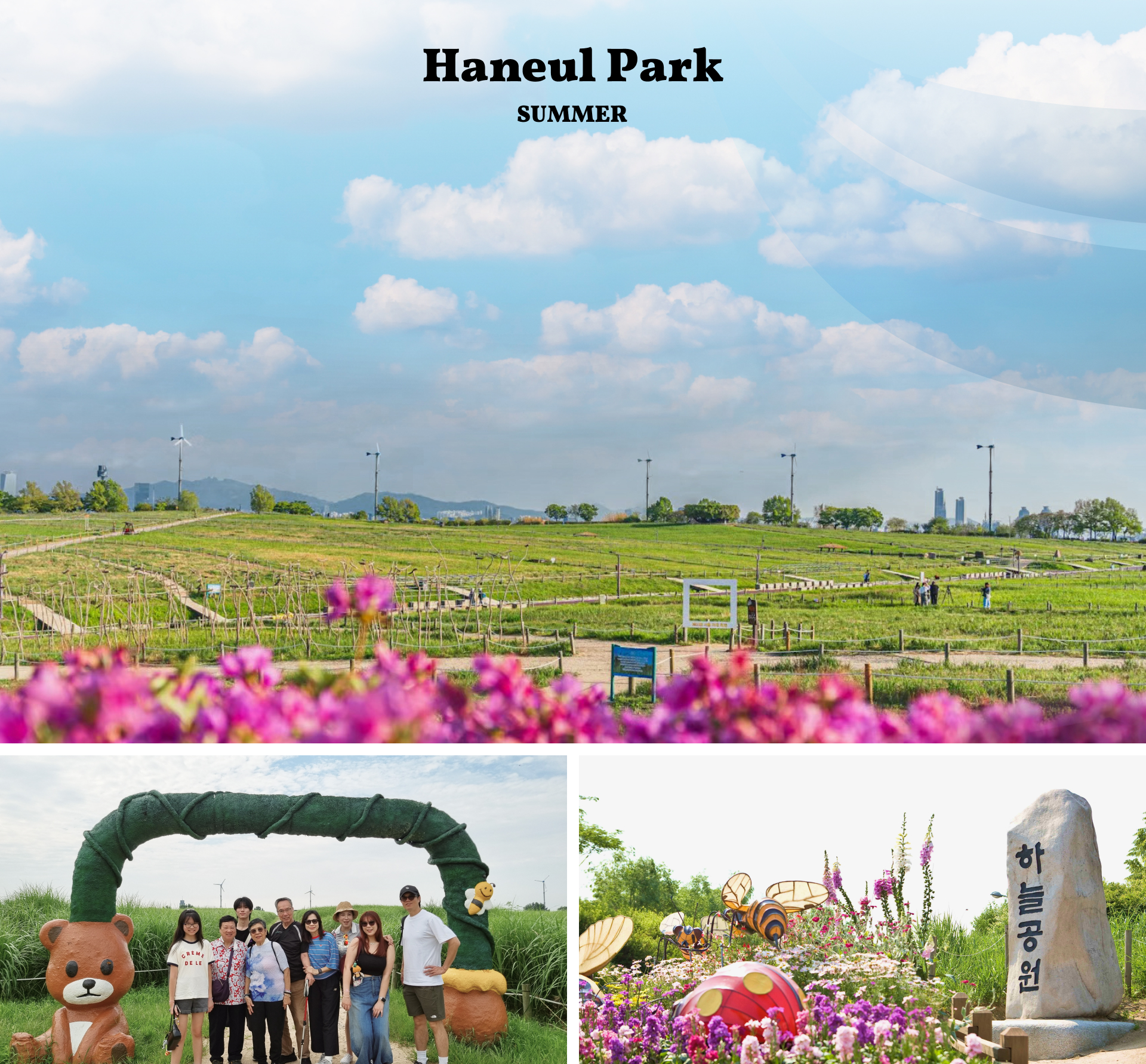 夏天，天空公園生機勃勃，鮮豔的花朵在明媚晴空下搖曳生姿。