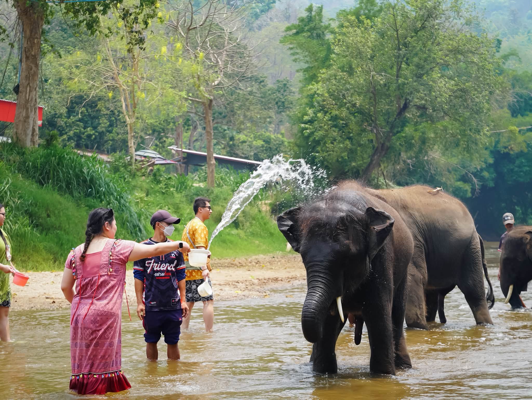 Chokchai Elephant Camp & Bua Tong Waterfall Day Tour