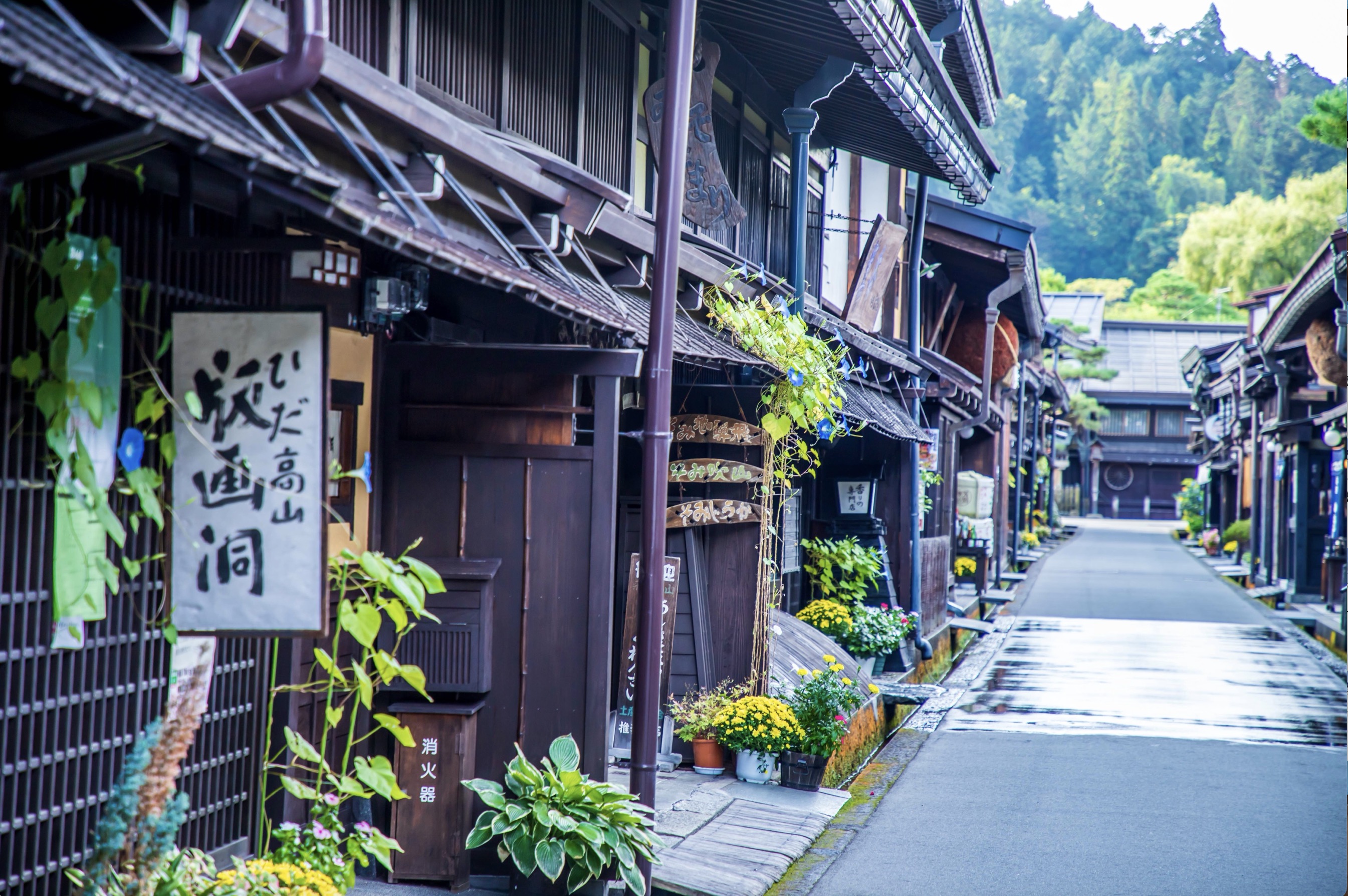【秋冬限定】日本世界文化遺產·白川鄉合掌村+飛驒高山一日遊｜中英文導遊（名古屋出發）