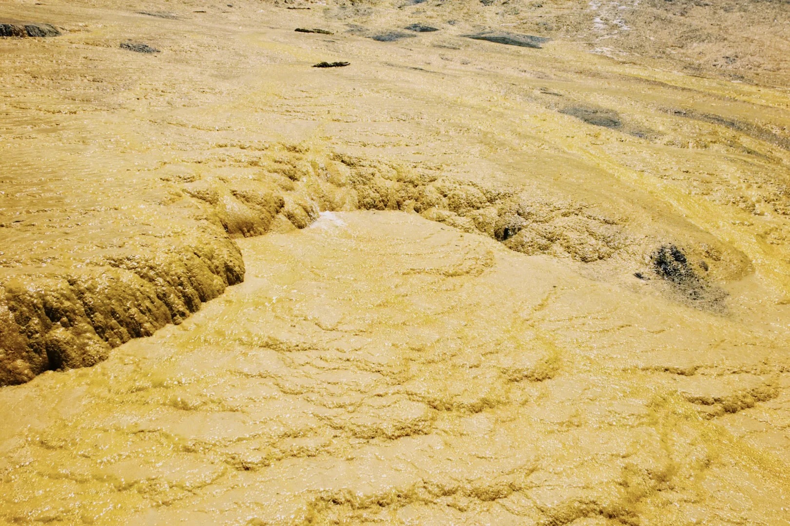 黃龍-【金沙鋪地】是目前世界上發現的同類地質構造中,狀態最好、面積最大、距離最長、色彩最豔的地表鈣華灘流,被譽為黃龍世界三大之最之一。鈣華灘流呈現金色,猶如流淌的黃金,陽光照耀下,波光粼粼,美不勝收。 黃龍-【金沙鋪地】是目前世界上發現的同類地質構造中,狀態最好、面積最大、距離最長、色彩最豔的地表鈣華灘流,被譽為黃龍世界三大之最之一。鈣華灘流呈現金色,猶如流淌的黃金,陽光照耀下,波光粼粼,美不勝收。