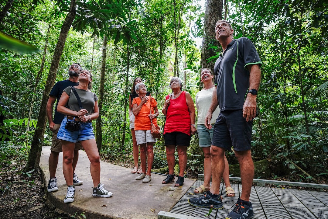 Total Daintree Experience