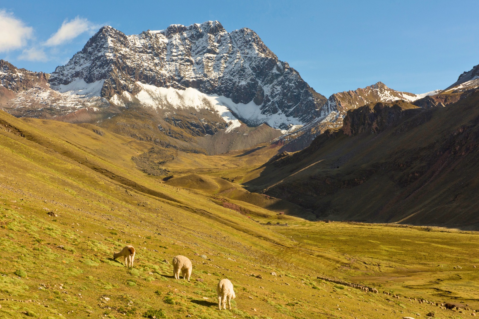 Rainbow Mountain Day Hike from Cusco – Vinicunca Adventure