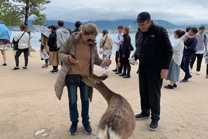 Miyajima Half-day Private Tour with Government Licensed Guide