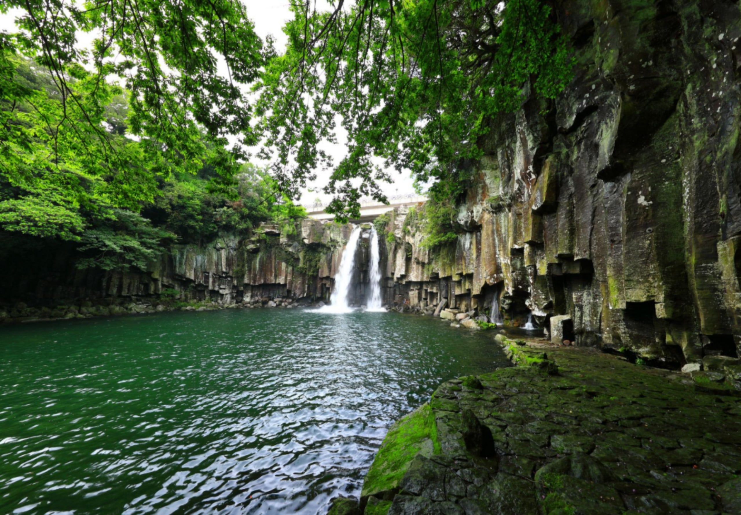 前往濟州島的天帝淵瀑布,體驗傳說中的「神之池」。探索多層瀑布、鬱鬱蔥蔥的森林,以及標誌性的仙臨橋,非常適合風景優美的散步和留下難忘的照片。 前往濟州島的天帝淵瀑布,體驗傳說中的「神之池」。探索多層瀑布、鬱鬱蔥蔥的森林,以及標誌性的仙臨橋,非常適合風景優美的散步和留下難忘的照片。
