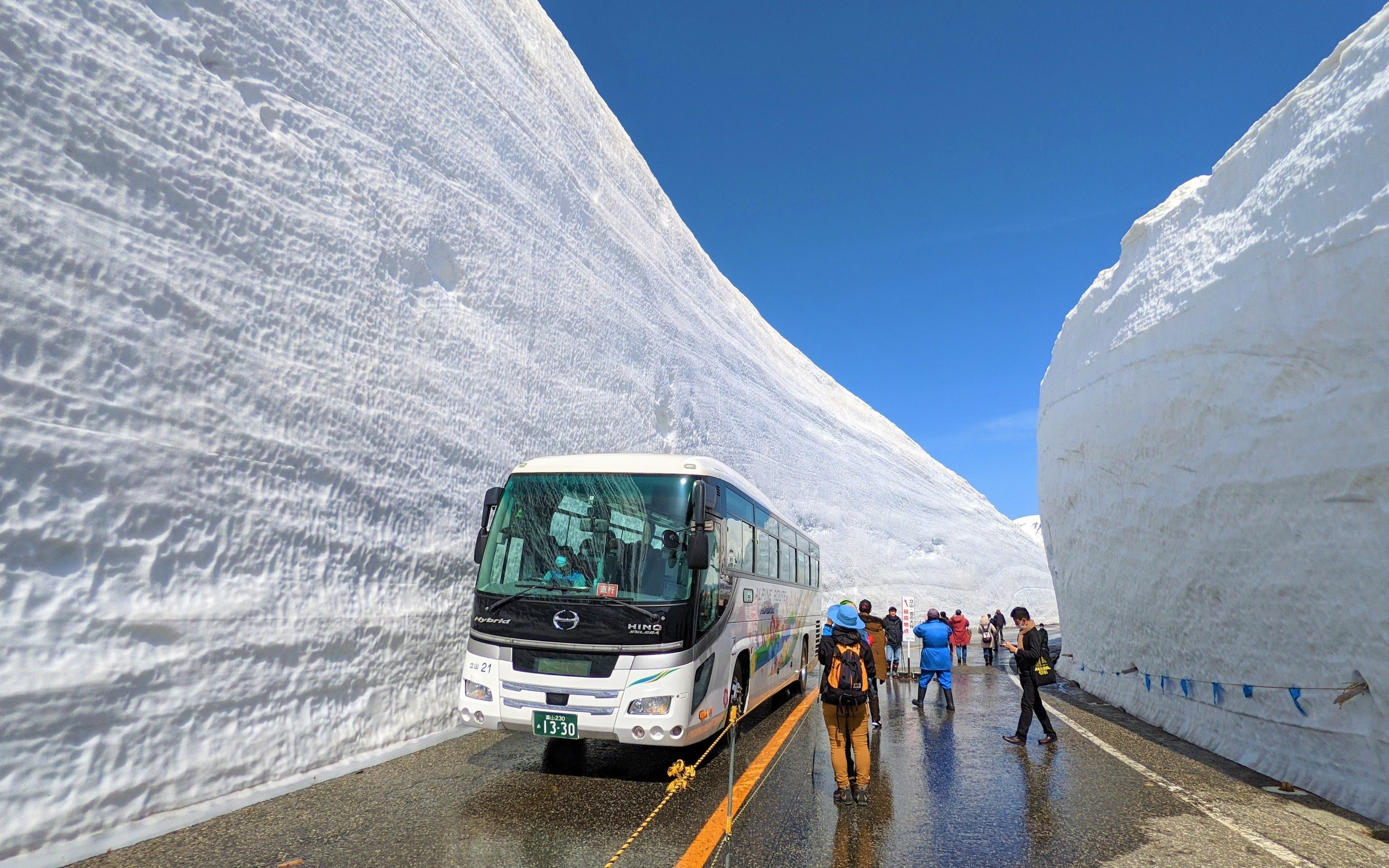 Tateyama Kurobe Alpine Route Full-Day Discovery