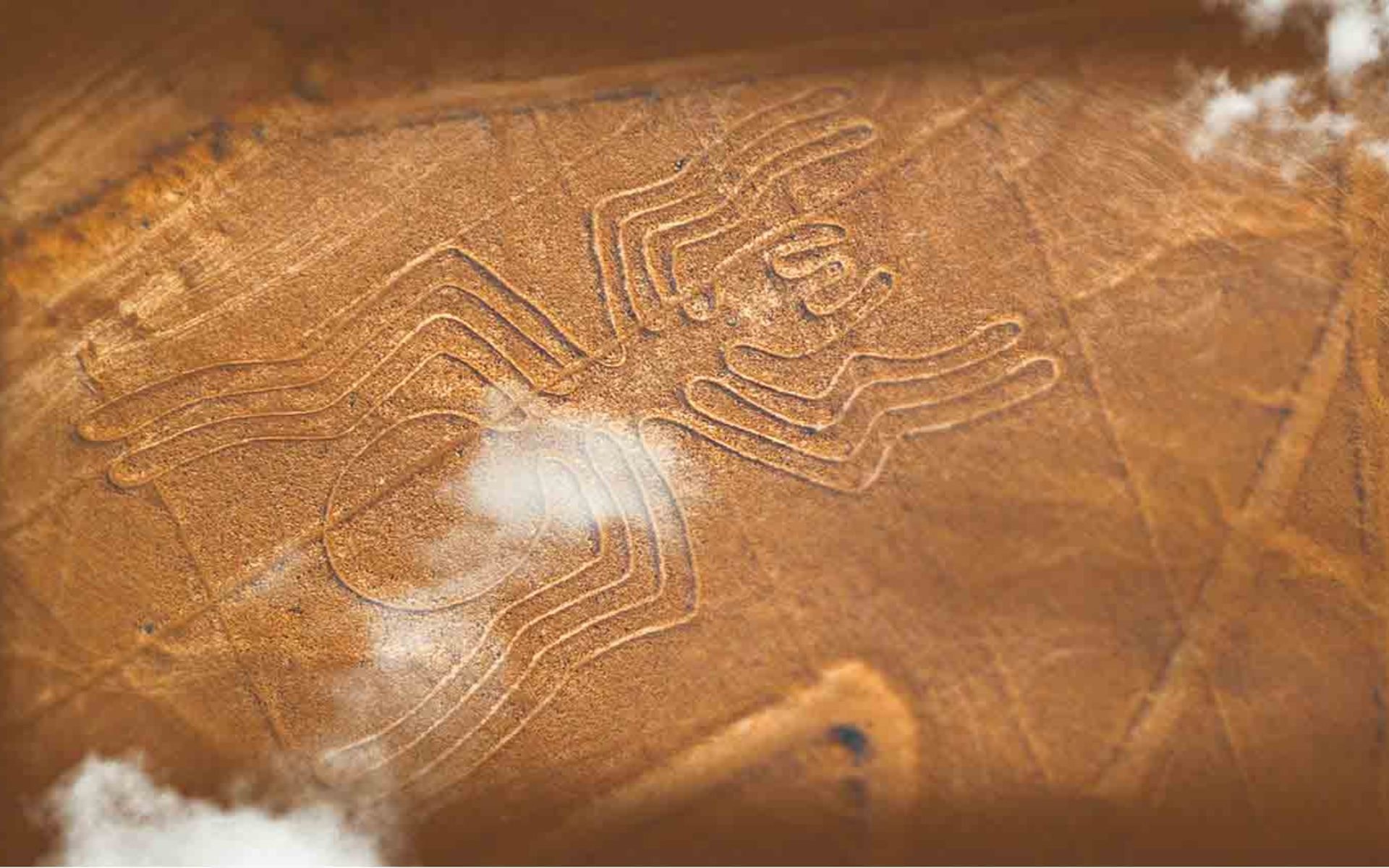 Nazca Lines Flight & Huacachina Tour with Dune Buggy & Pisco Tasting from Lima