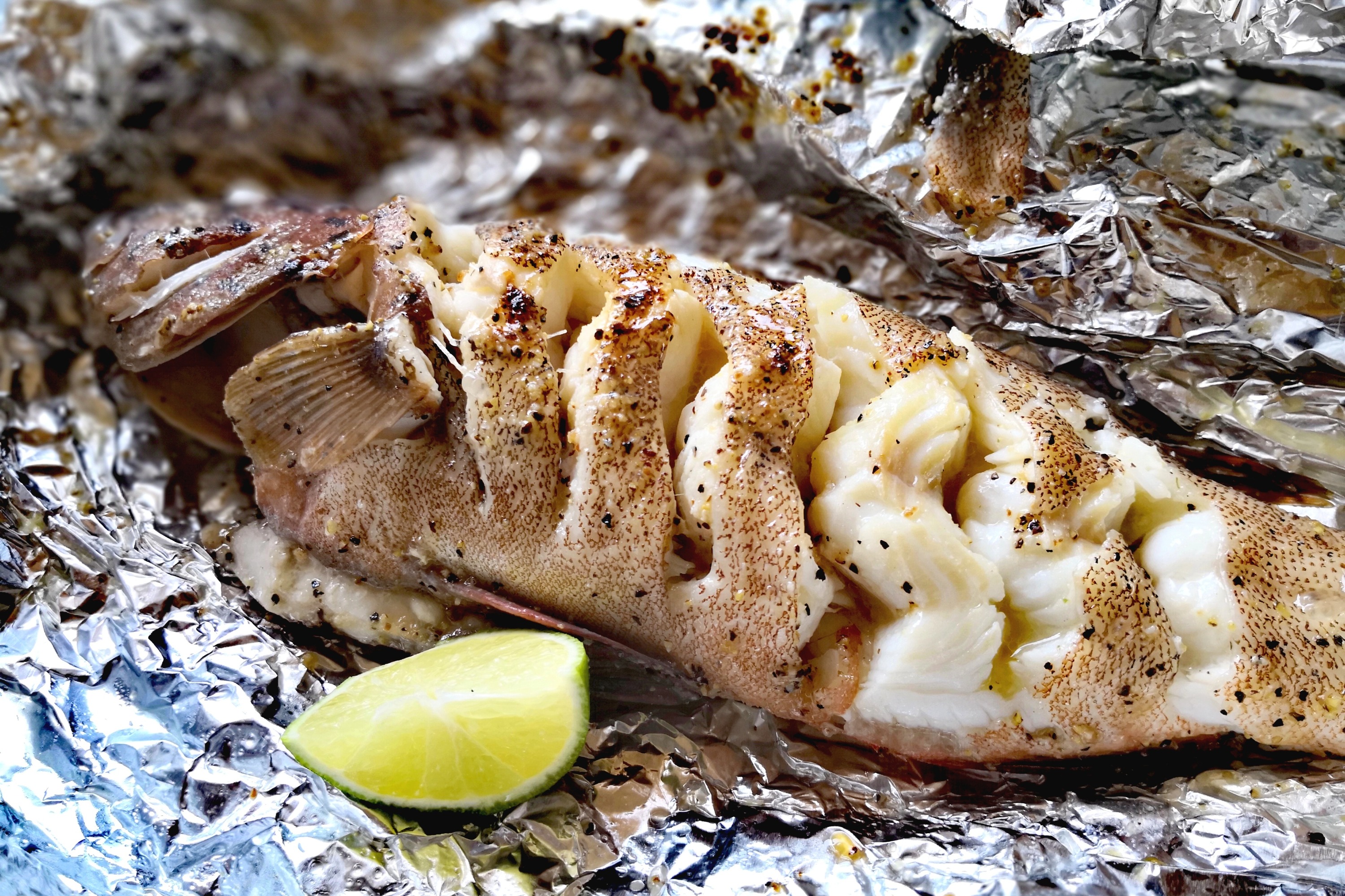 Unique opportunity to BBQ and enjoy fresh catch onboard