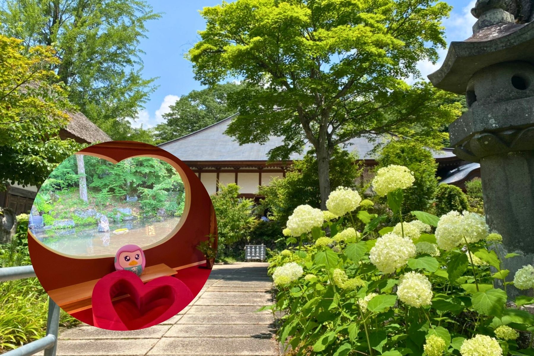群馬薰衣草／掃帚草花園 & 桃子／蘋果採摘體驗 & 吉祥寺 & 撈豆皮吃到飽體驗一日遊