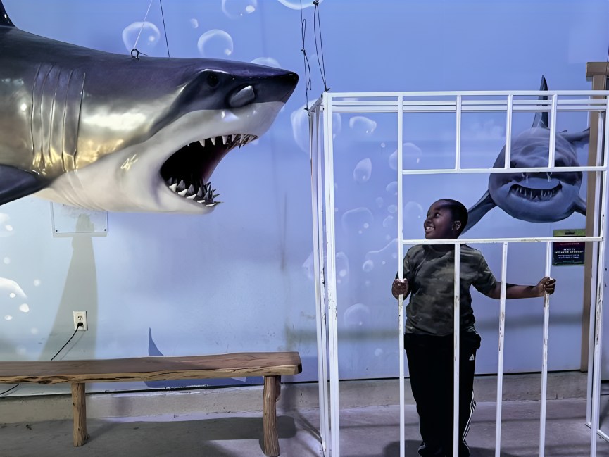 一個男孩自豪地在鯊魚籠複製品內自拍,外面有一個巨大的鯊魚模型隱約可見 一個男孩自豪地在鯊魚籠複製品內自拍,外面有一個巨大的鯊魚模型隱約可見