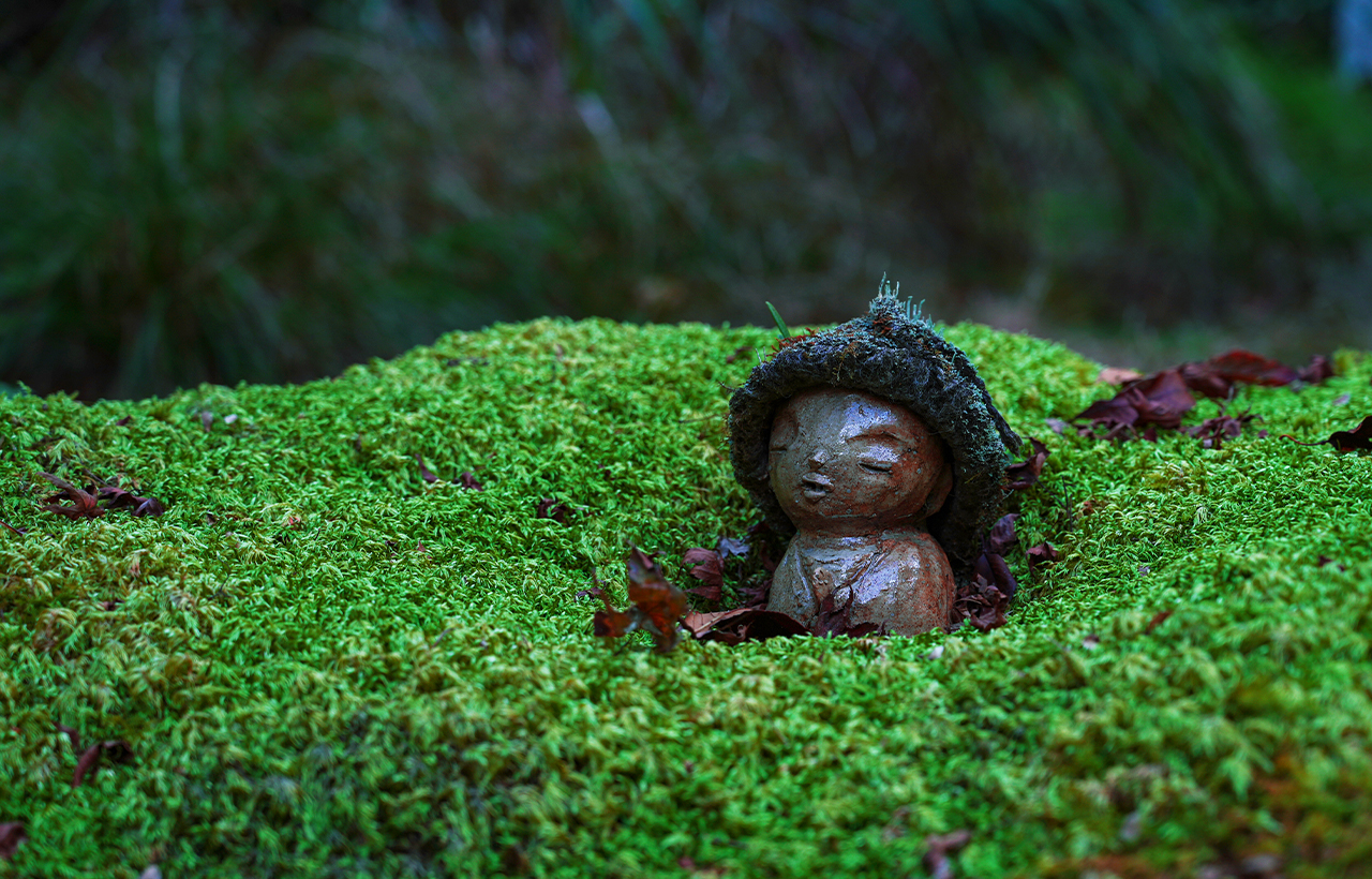 滋賀｜琵琶湖白鬚神社·展望臺/京都嵐山三千院·滿月寺浮御堂·近江八幡一日遊｜大阪/京都出發