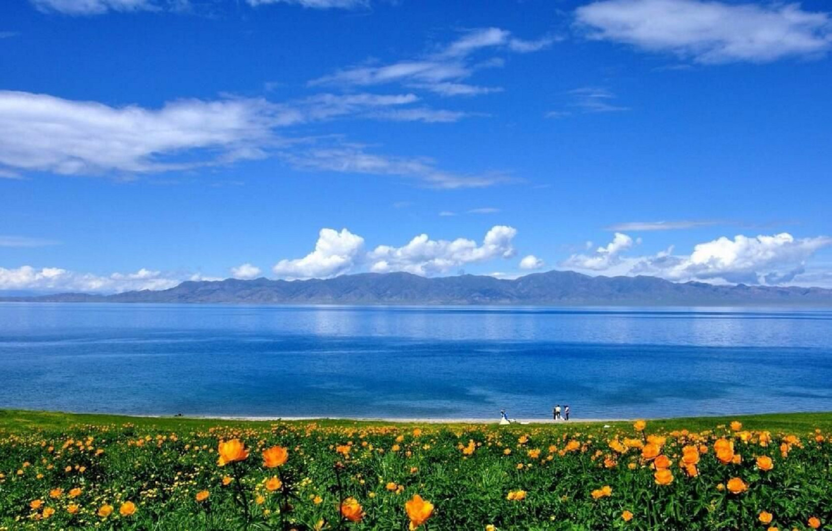 [Private Tour] The 7-day Tour of the Xingjiang Tian Shan Scenery