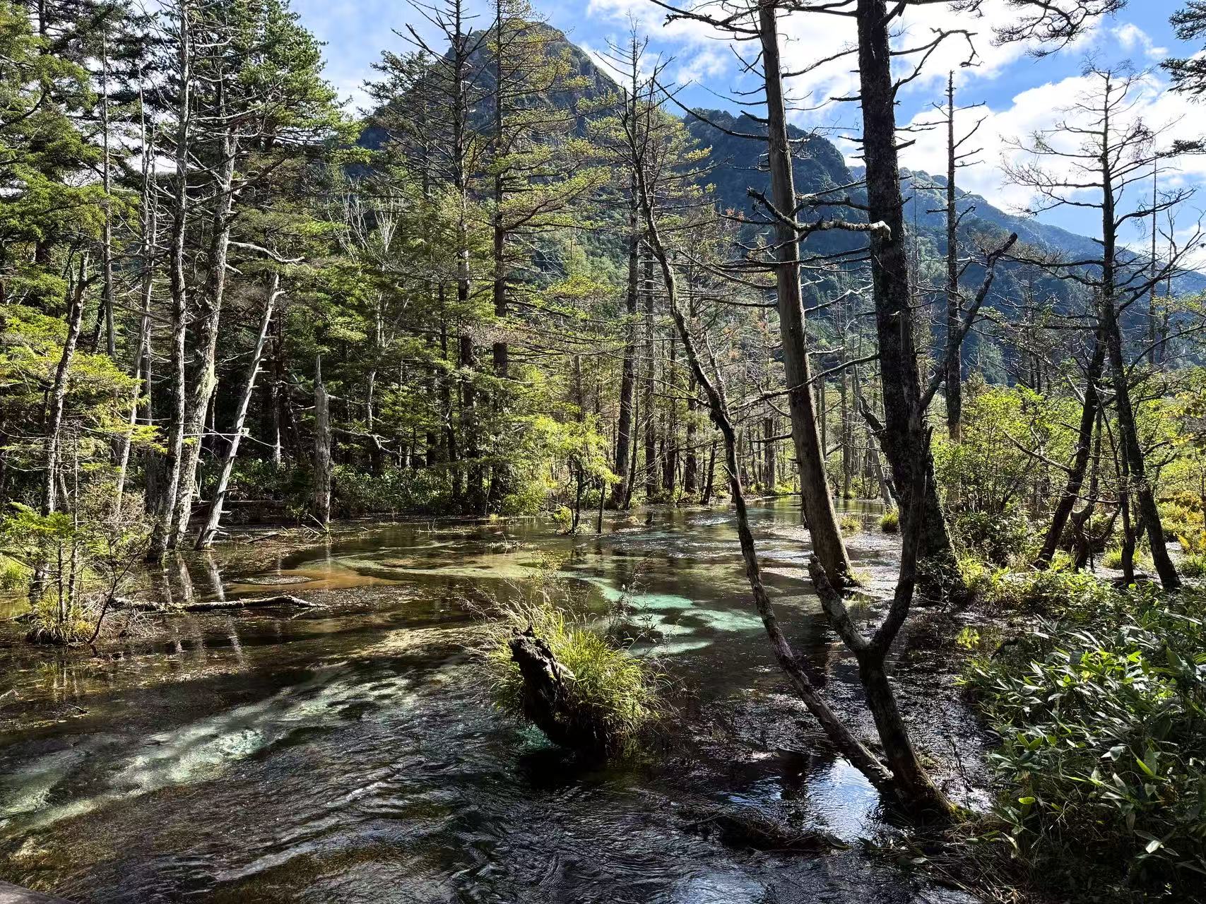 岳澤濕地 岳澤濕地