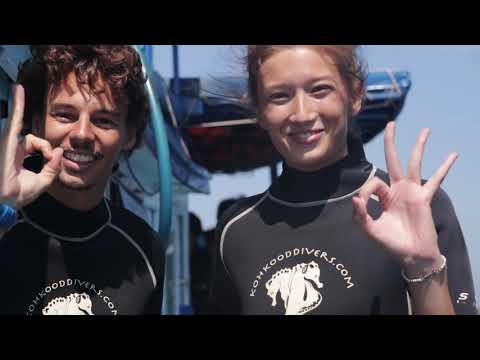 狗骨島浮潛一日遊（PADI五星級潛水中心）