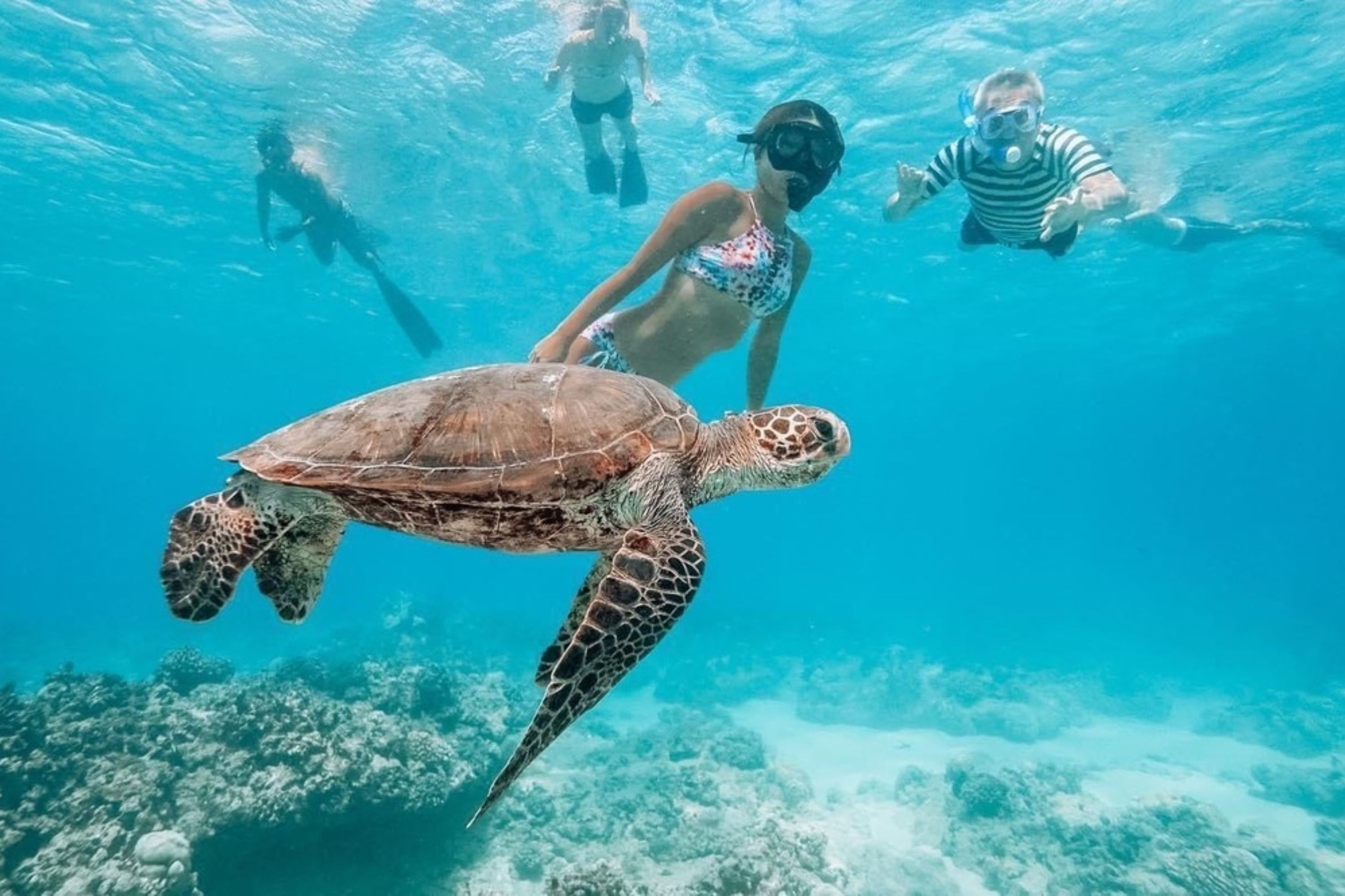 歐胡島全明星環島之旅