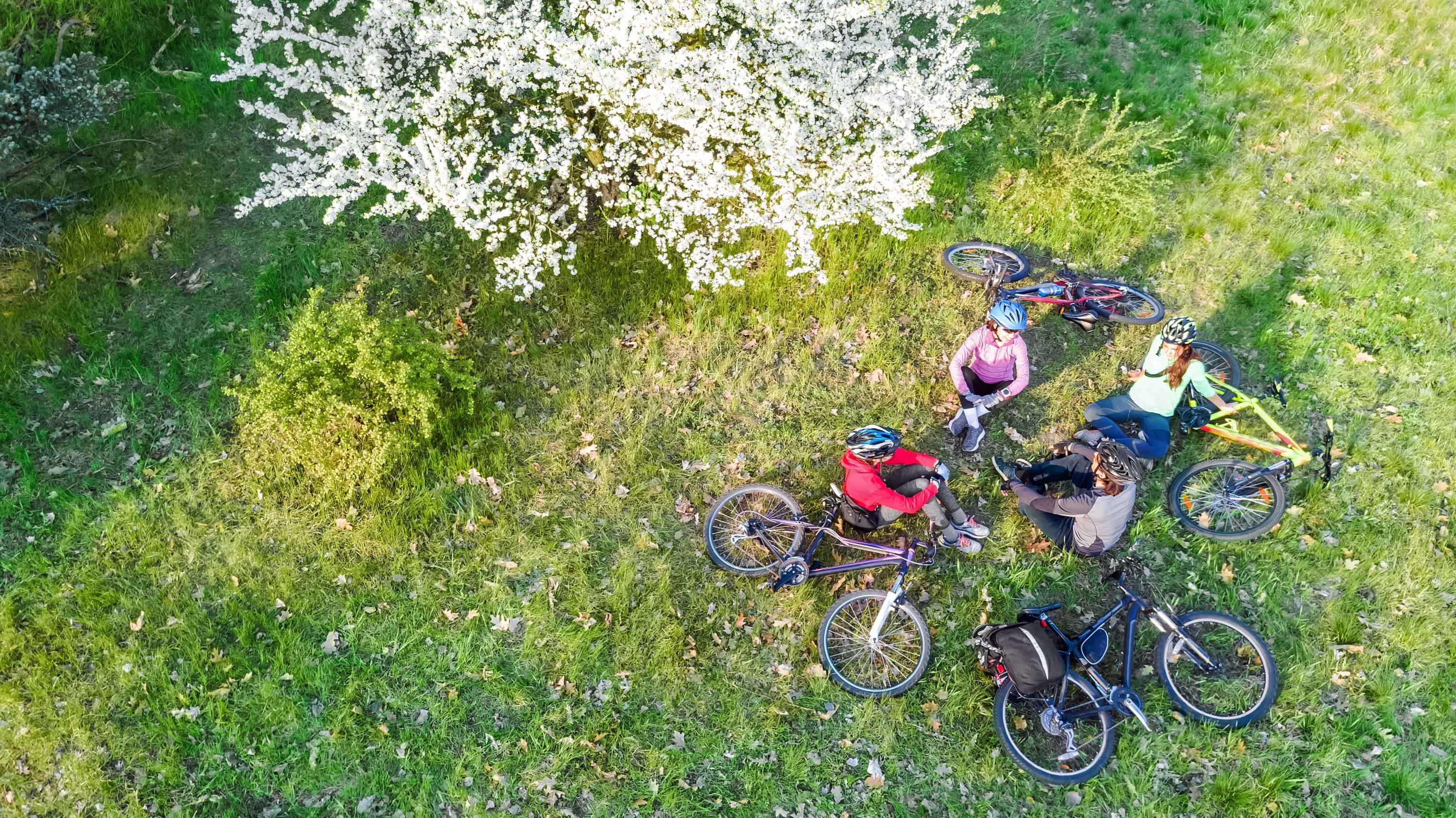 E-bike Tour - Waterfall Valley of Lauterbrunnen