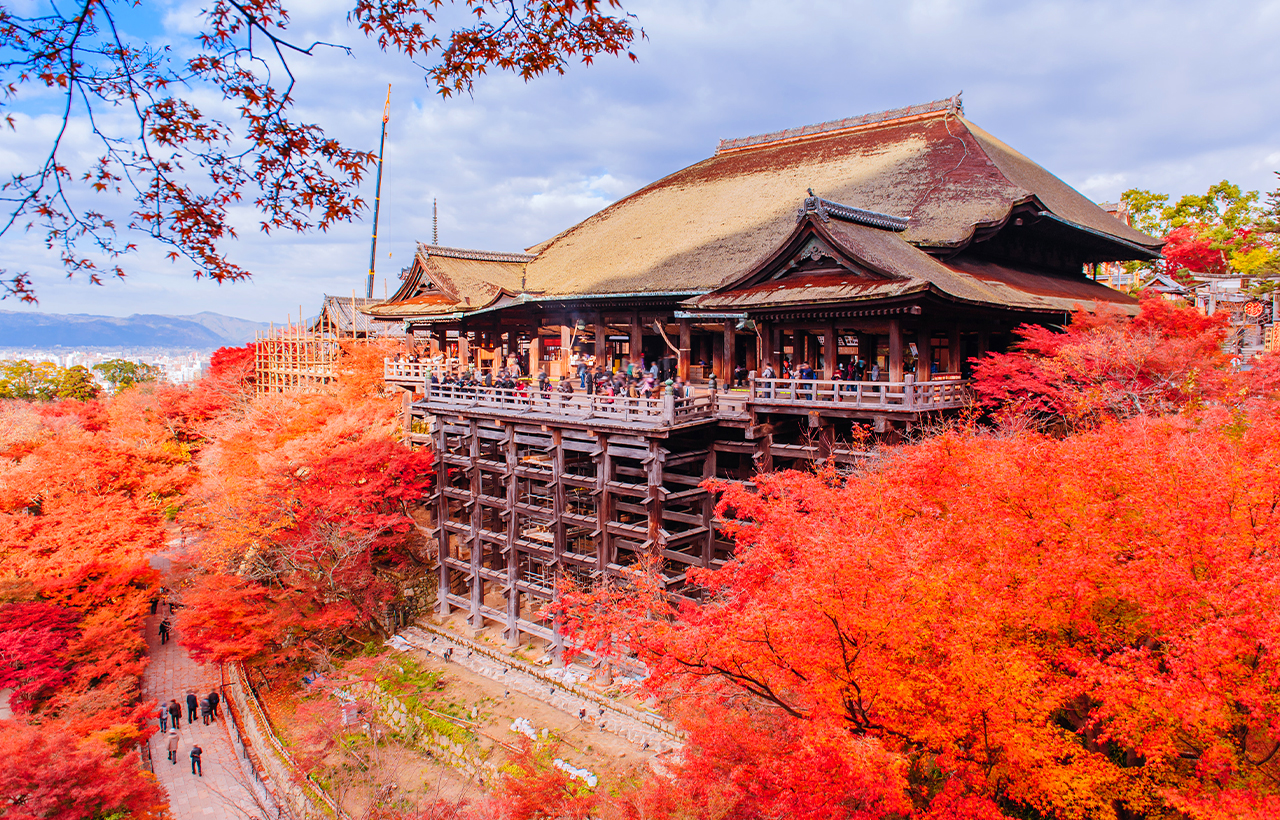 京都+奈良+清水寺區域-和服體驗+八坂神社+伏見稻荷大社+奈良公園-看鹿和楓葉的奈良公園+東大寺