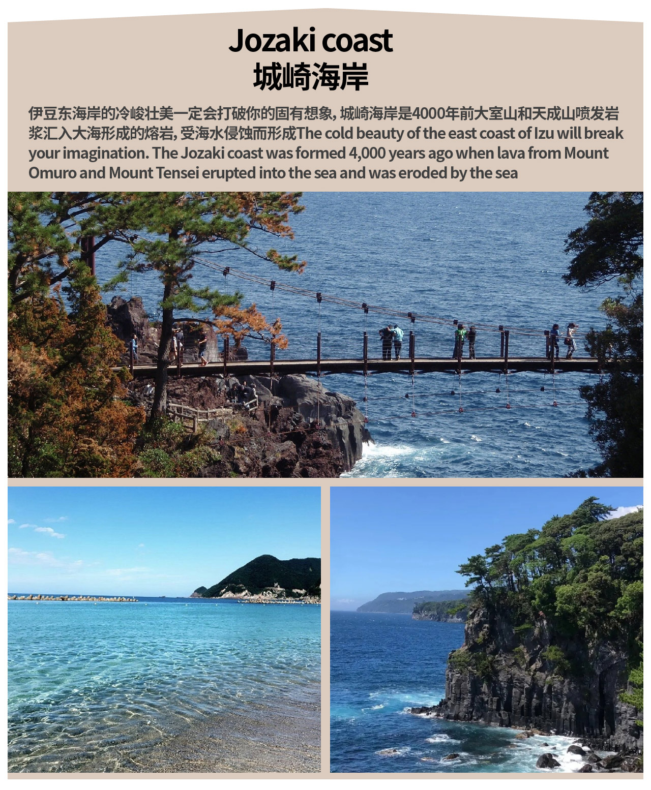 【熱海&伊豆溫泉深度二日遊】MOA美術館&來宮神社&三島天空步道&修善寺瀧亭溫泉&大室山&城崎海岸二日遊(東京出發）