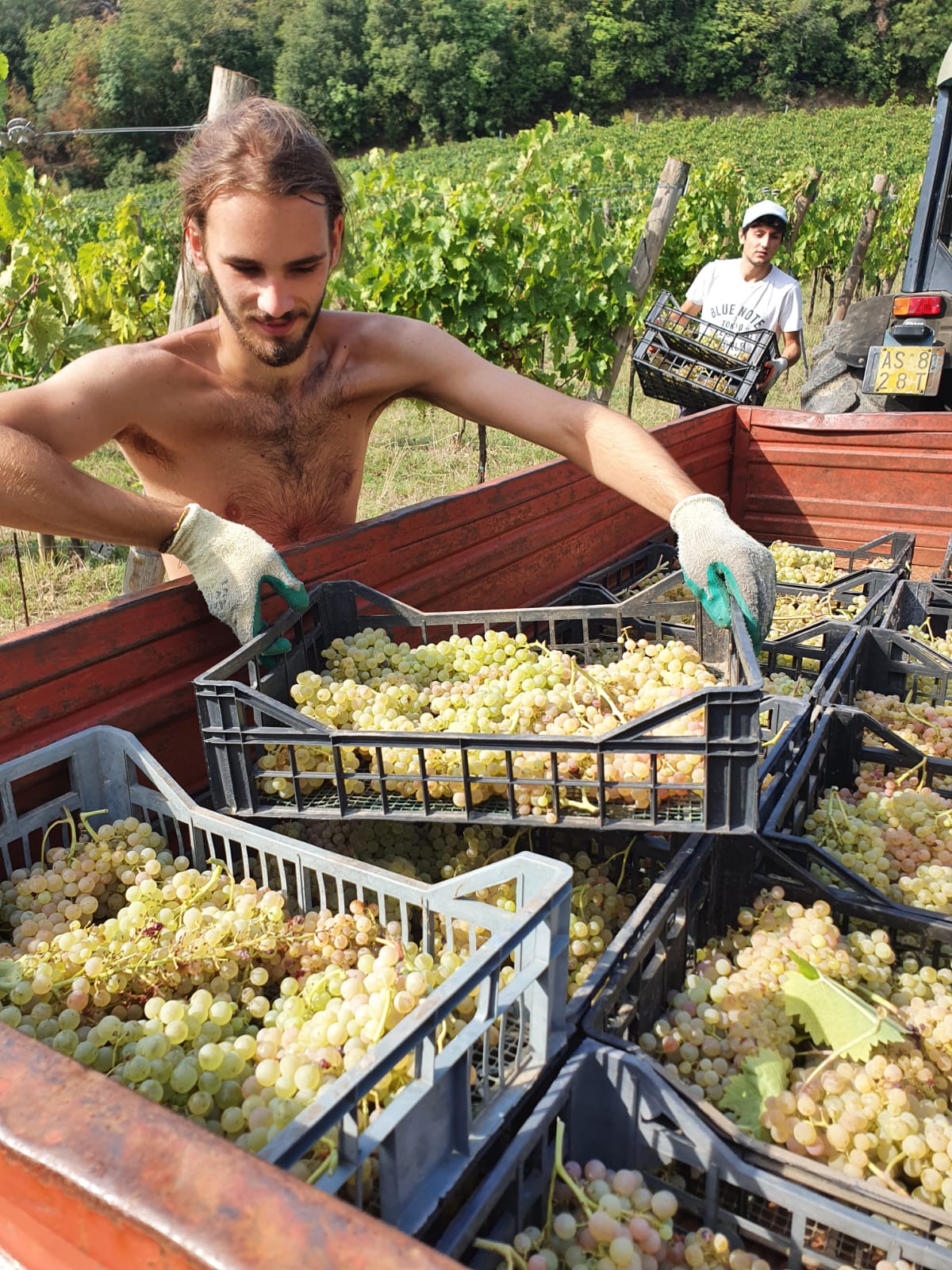 Tuscan Bites & Sips: Discover Tuscany Through Wine