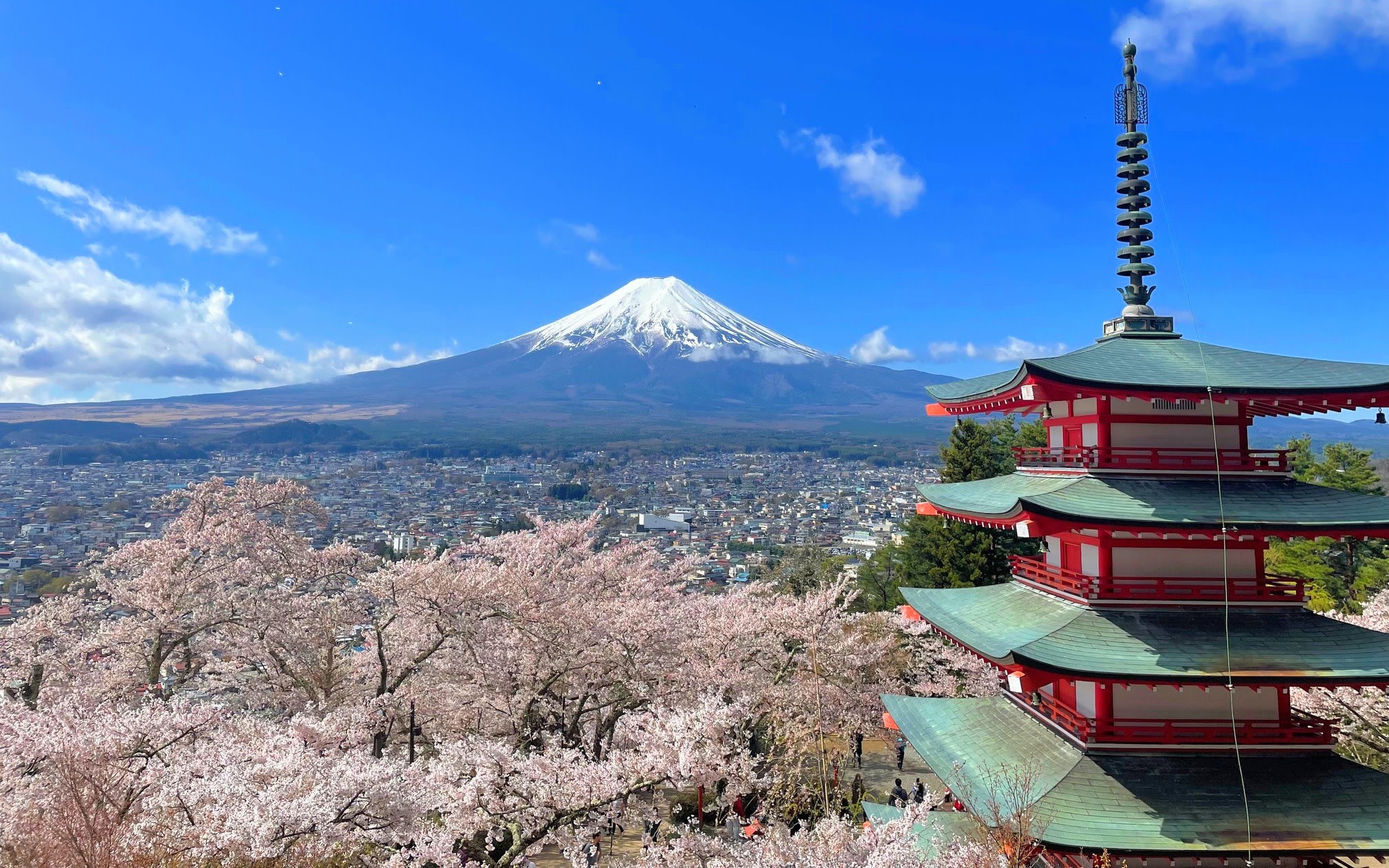 Spectacular Mt. Fuji & Lake Kawaguchi Cruise, handcraft noodles