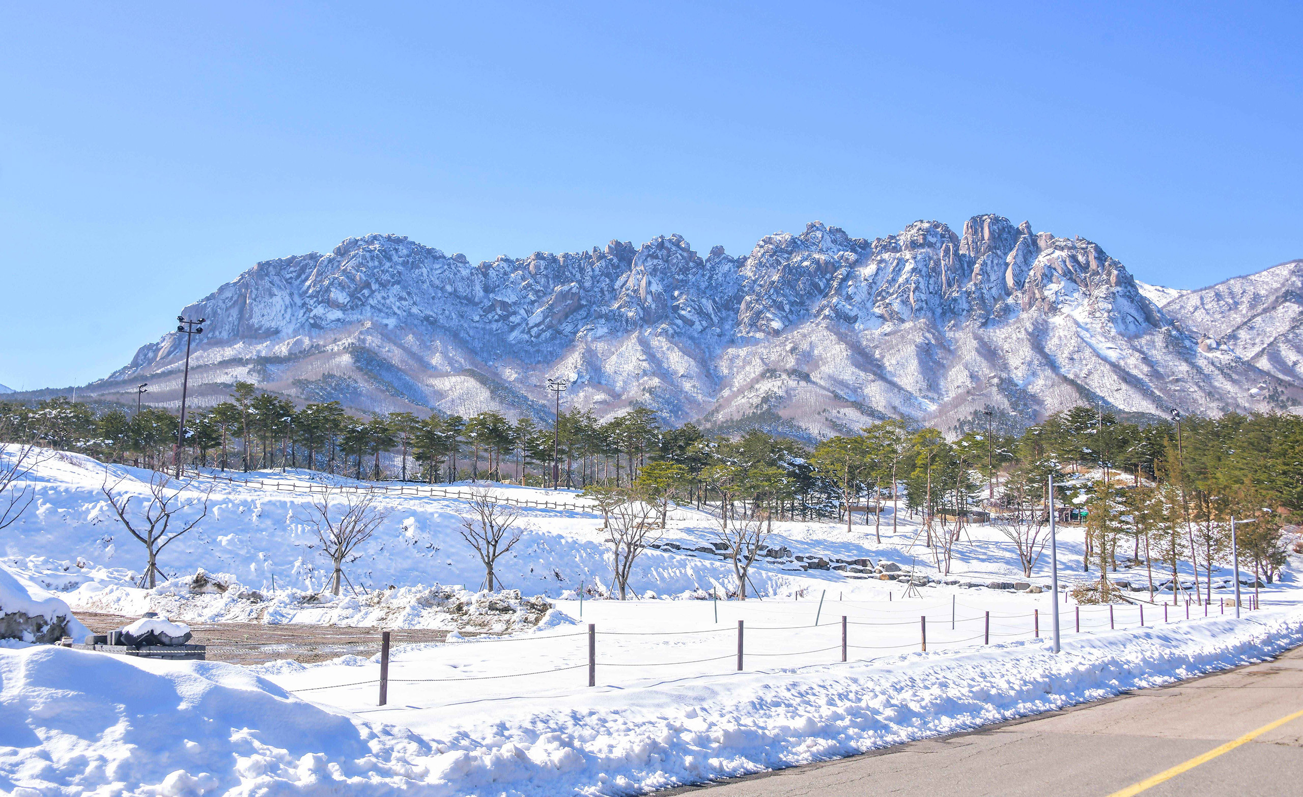 跟隨專業導遊，一同探索韓國雪嶽山的壯麗山峰與寧靜小徑。