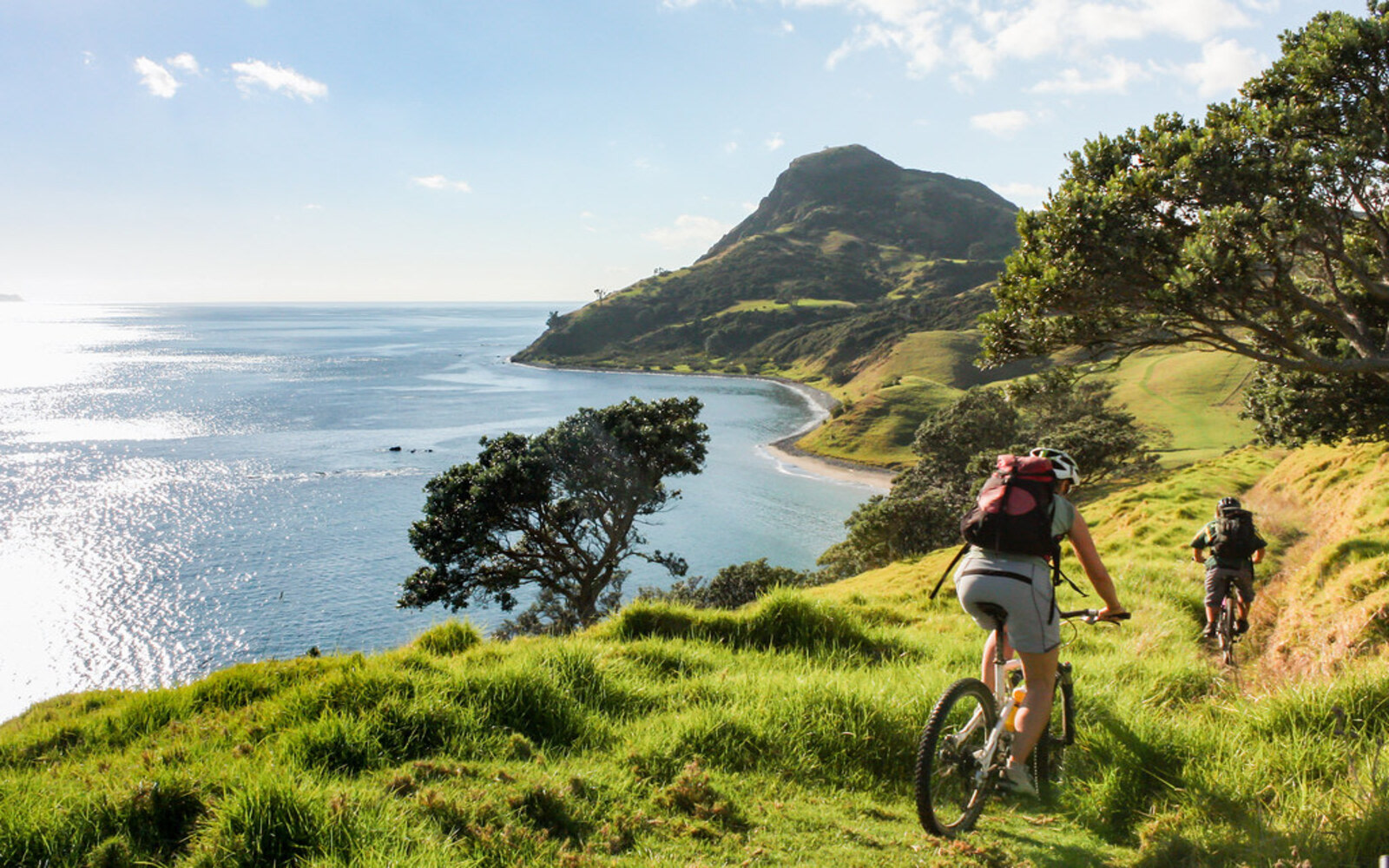 Coromandel Peninsula Exploration Experience