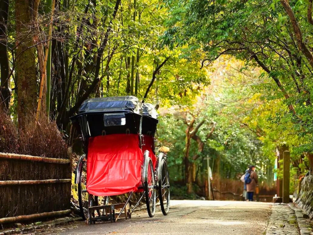 京阪一日遊：嵐山竹林 & 八坂神社 & 花見小路 & 奈良公園 & 東大寺｜大阪出發 