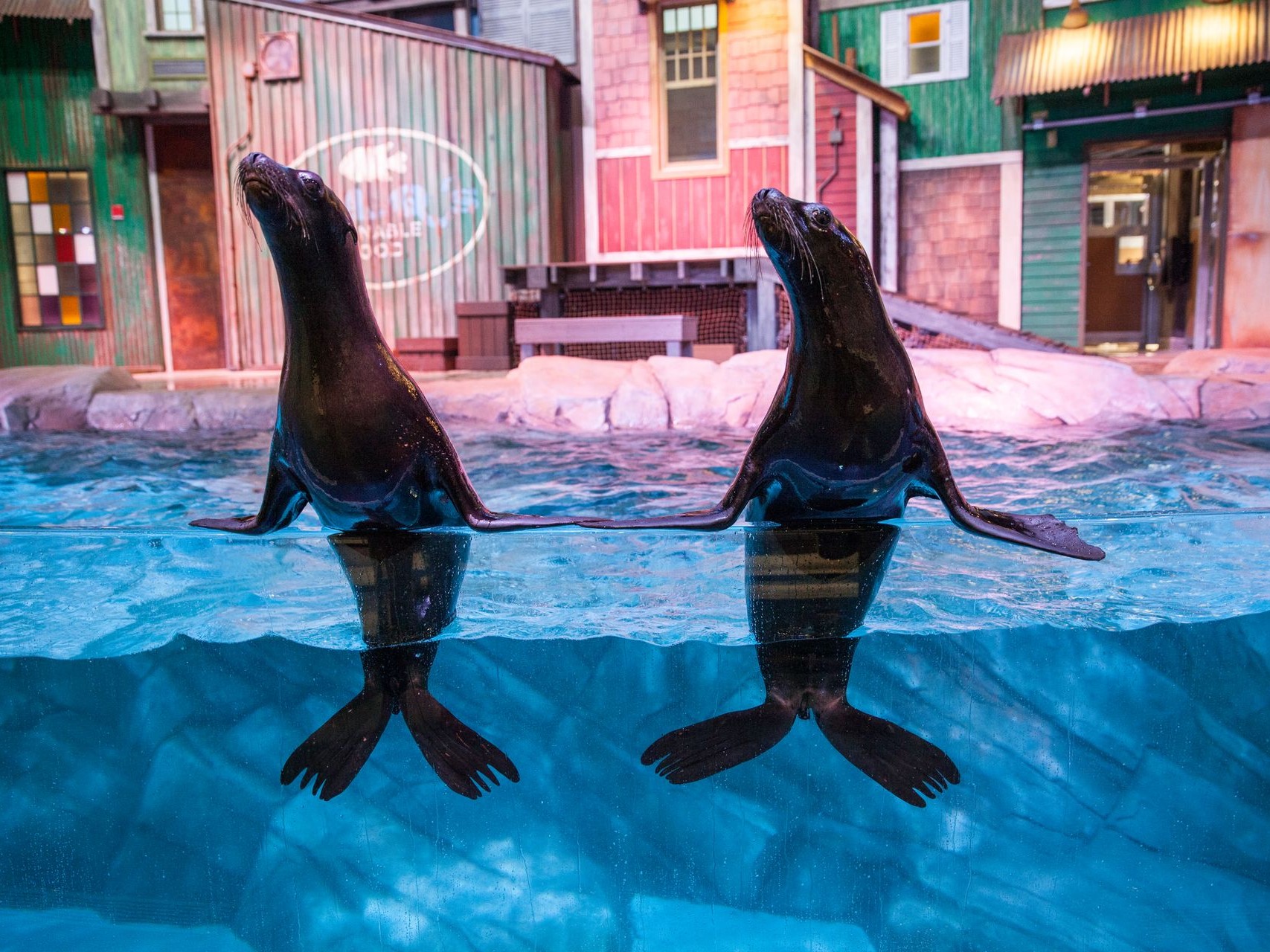 亞特蘭大佐治亞水族館門票
