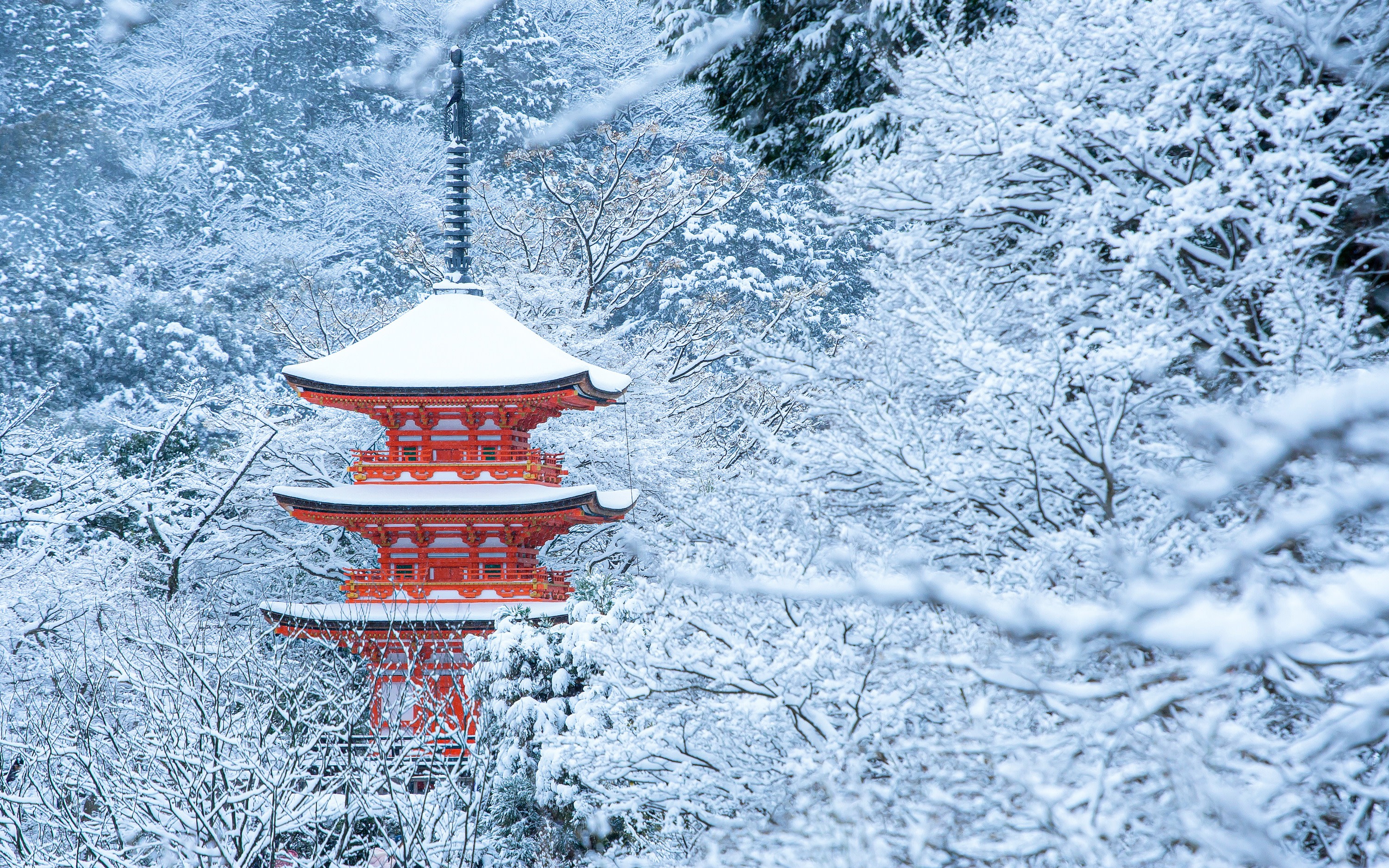 Best of Kyoto & Nara: Kiyomizudera, Nara Park, Todaiji & Much More