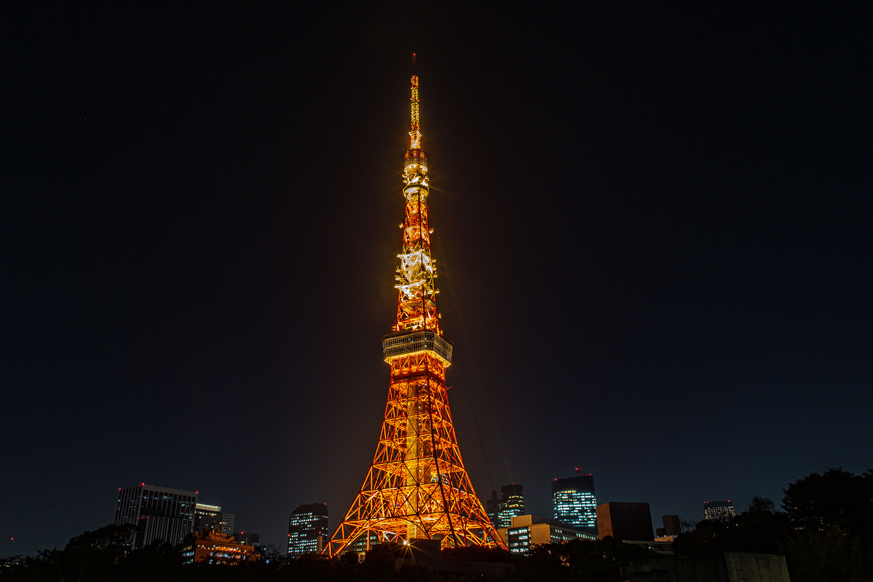東京：夜間電動自行車之旅（含東京塔和海豚表演）